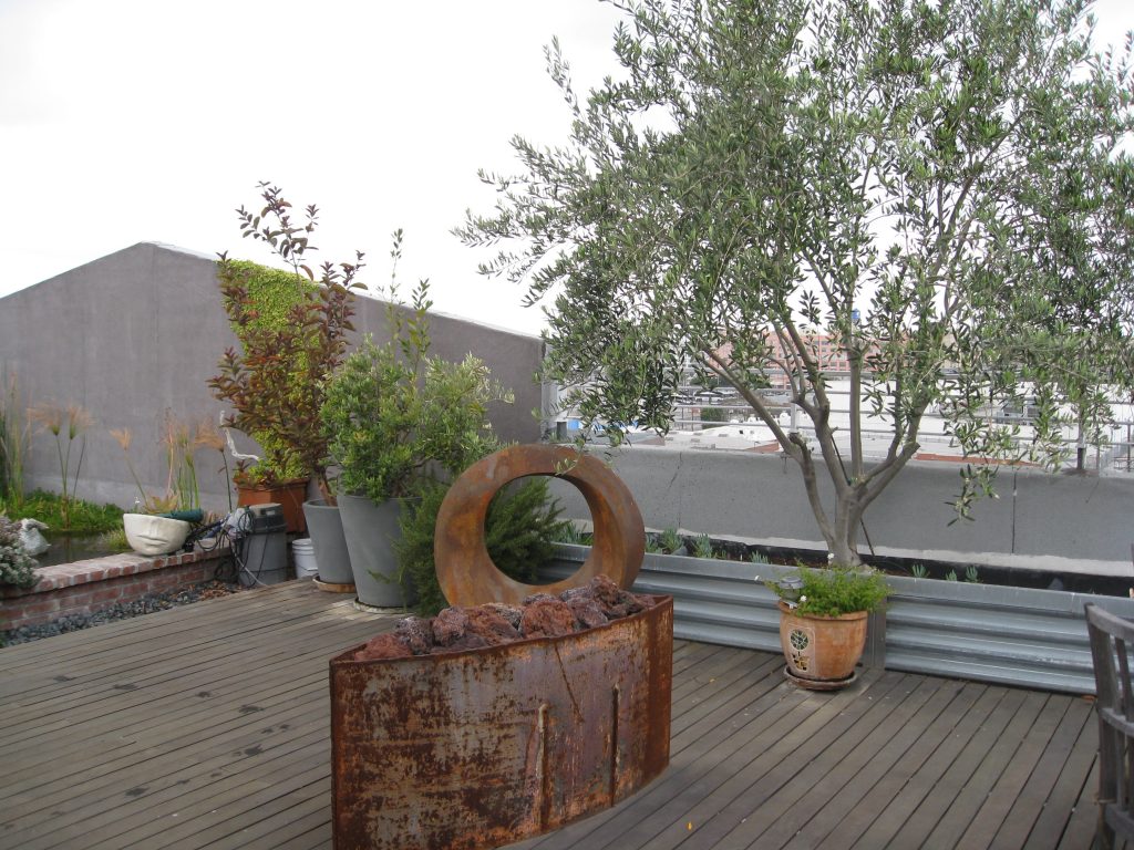 An olive tree, a fire pit and sculpture create a feeling of contemporary livable space 