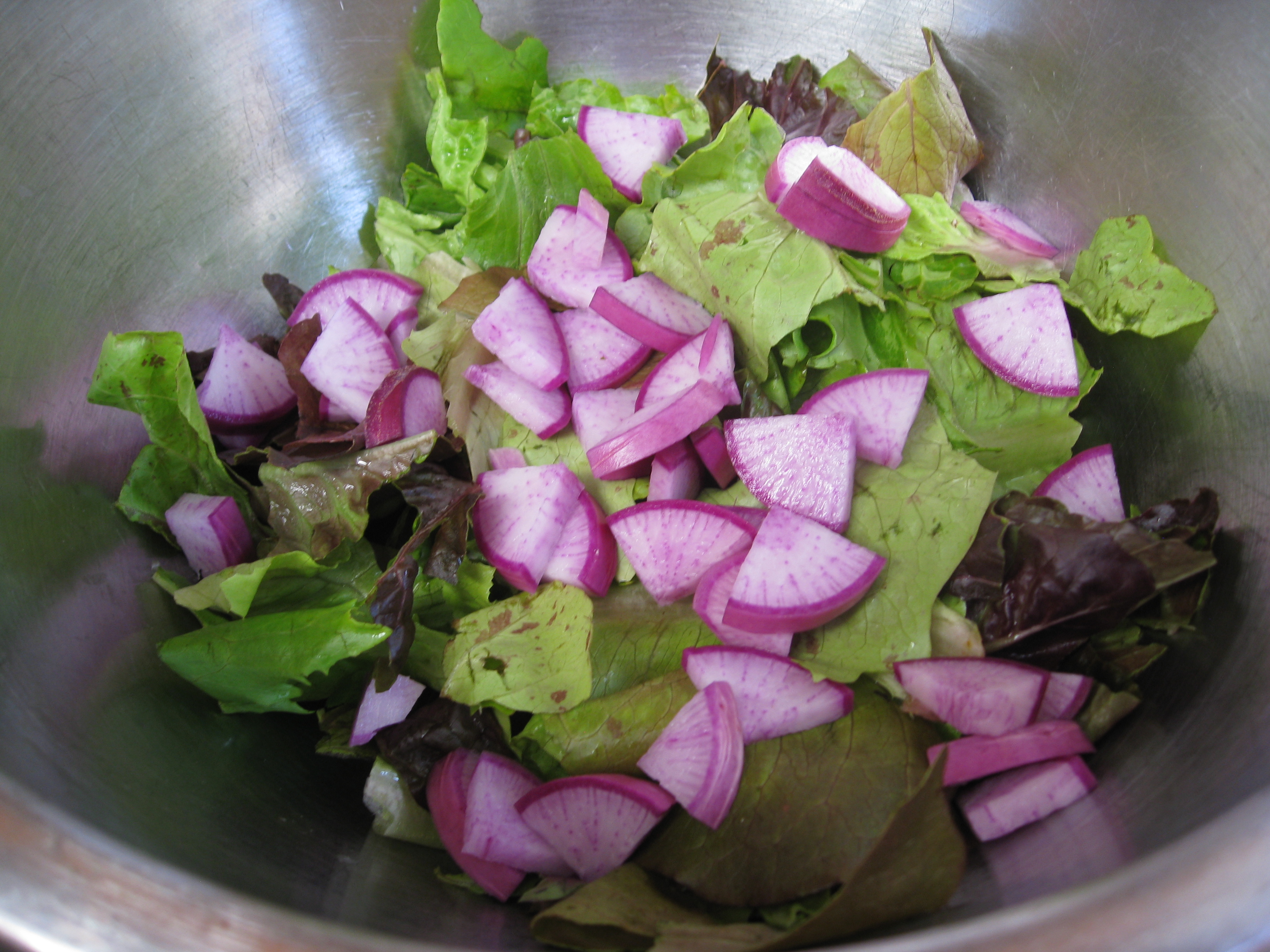 Harvesting Bora King Radishes - Gardenerd