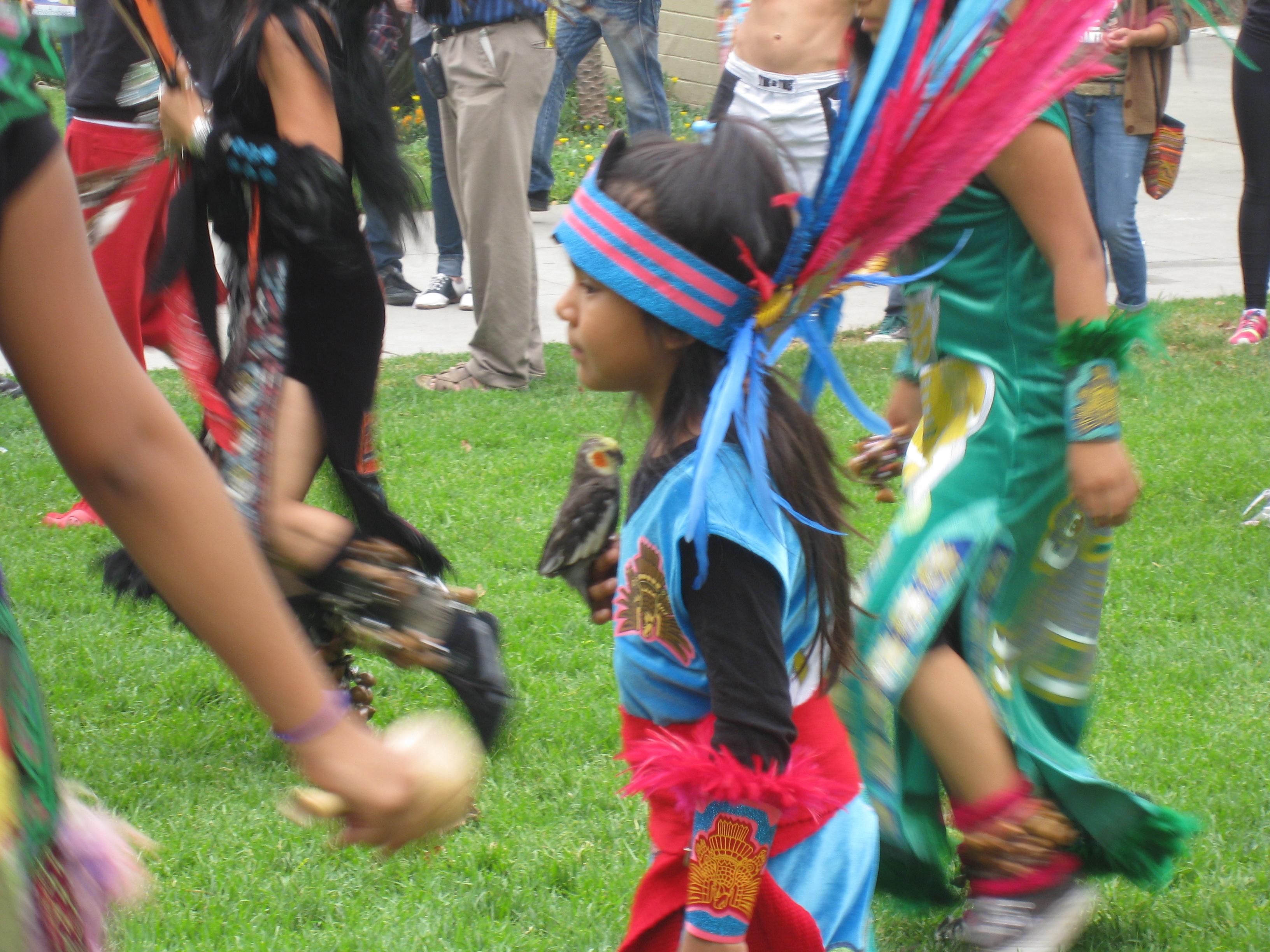 Native American girl with her bird, dancing against Monsanto