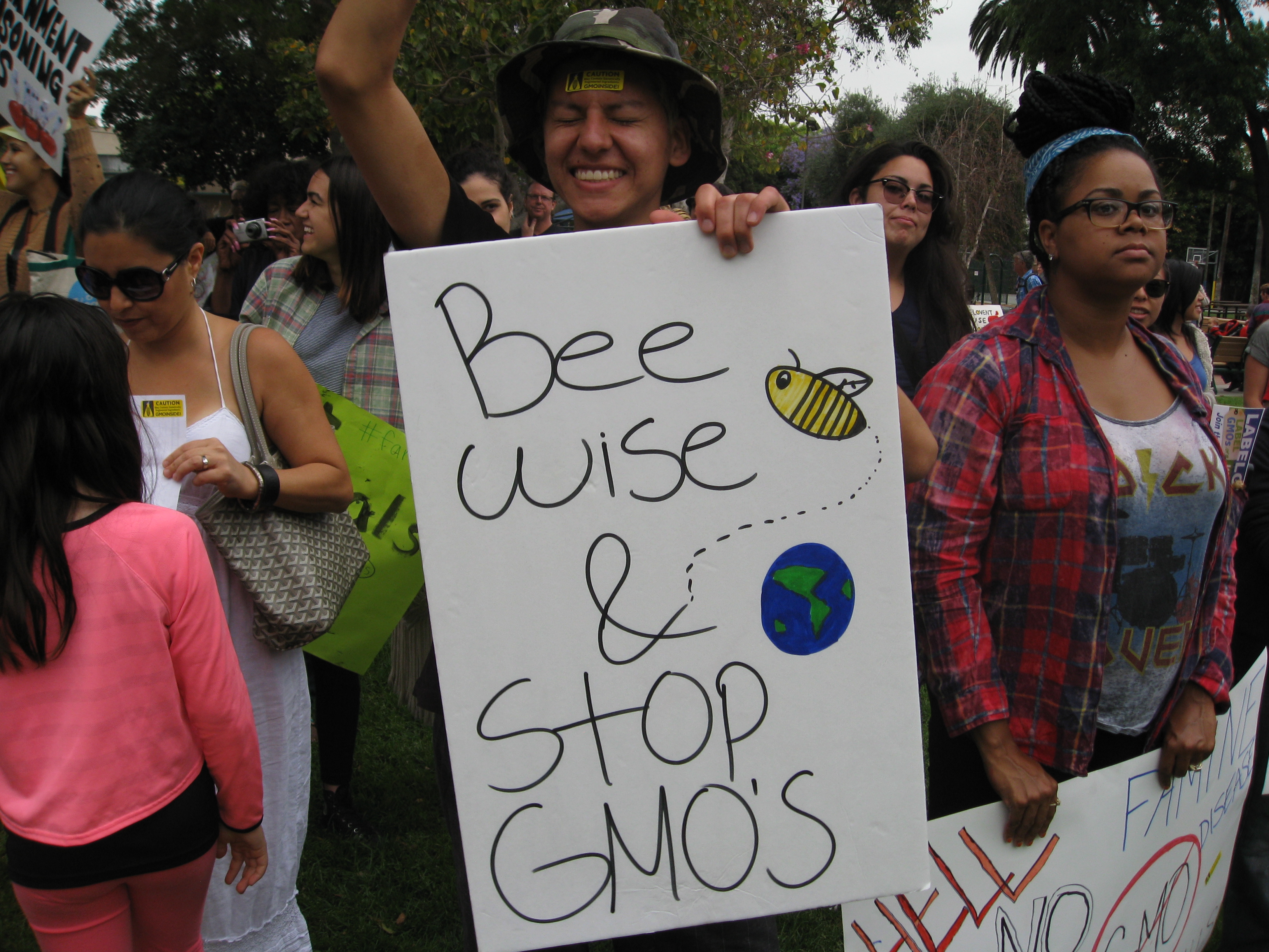 Monsanto makes GMO corn that is damaging bees and other beneficial insects.