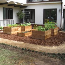 New Garden for Dad and His Little Girl