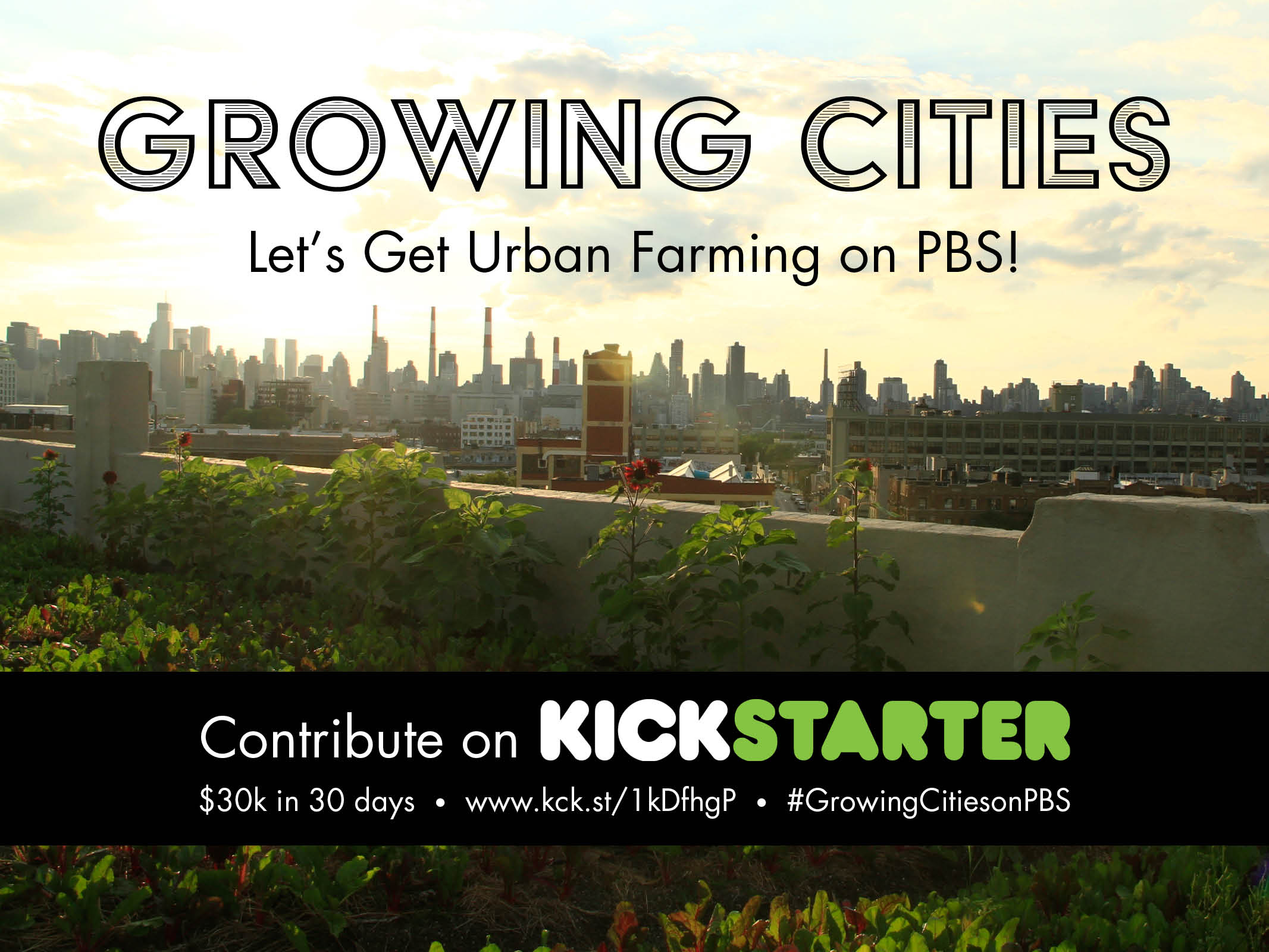 You are currently viewing Growing Food in Growing Cities