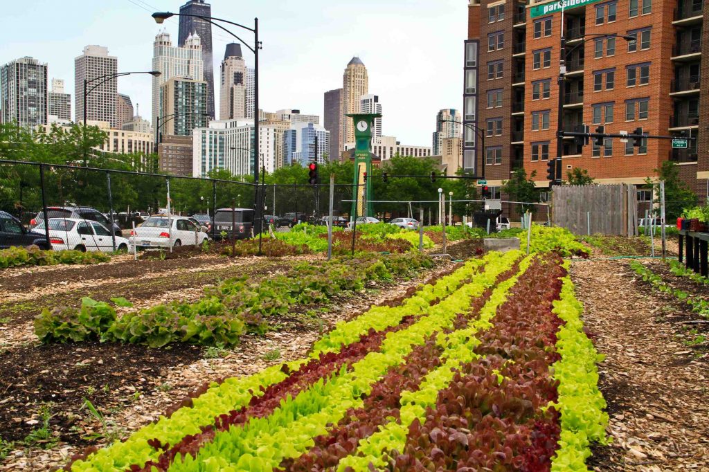 Urban spaces make great gardens