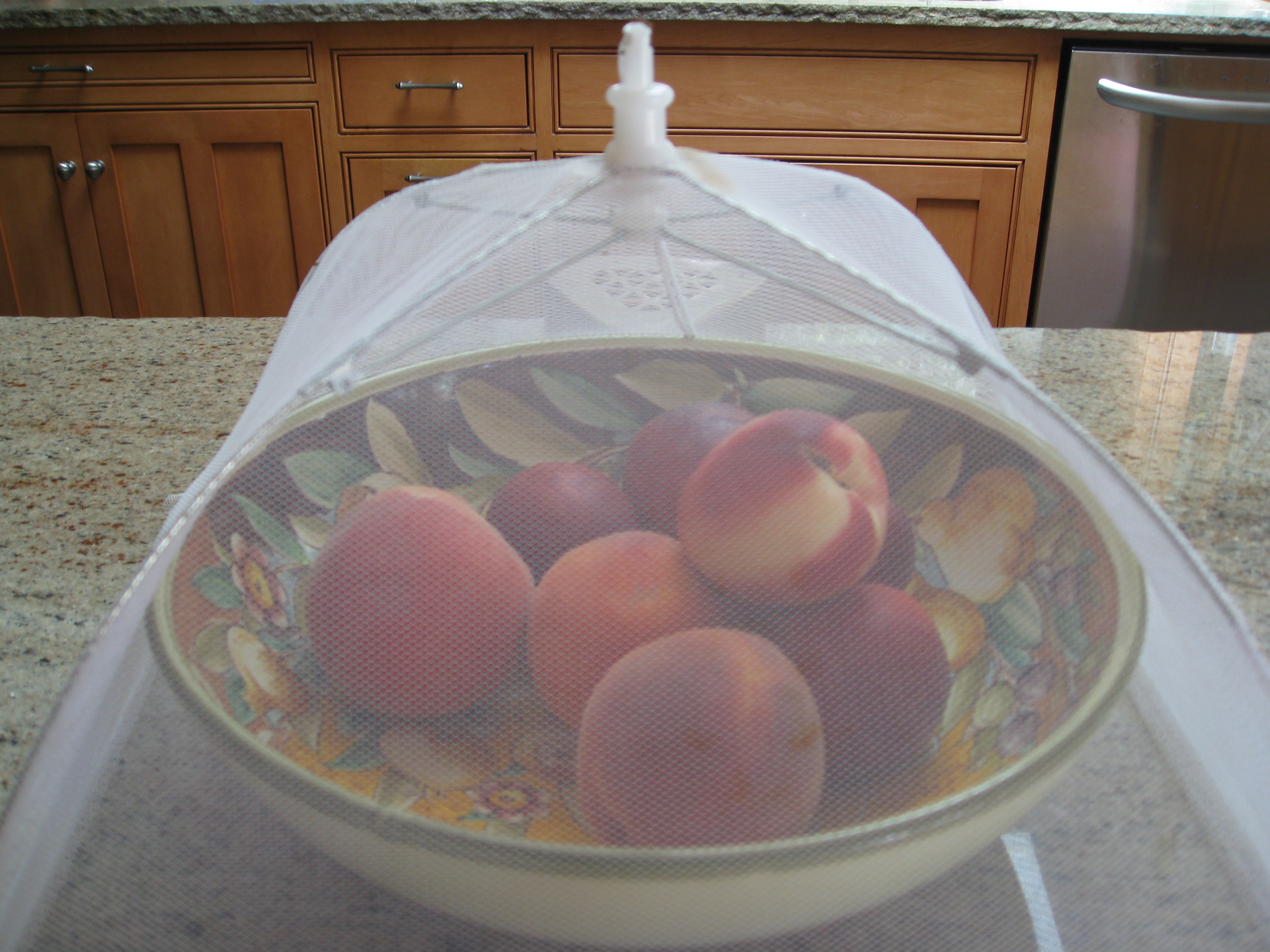 A Homemade Fruit Fly Trap That Works - kiyafries