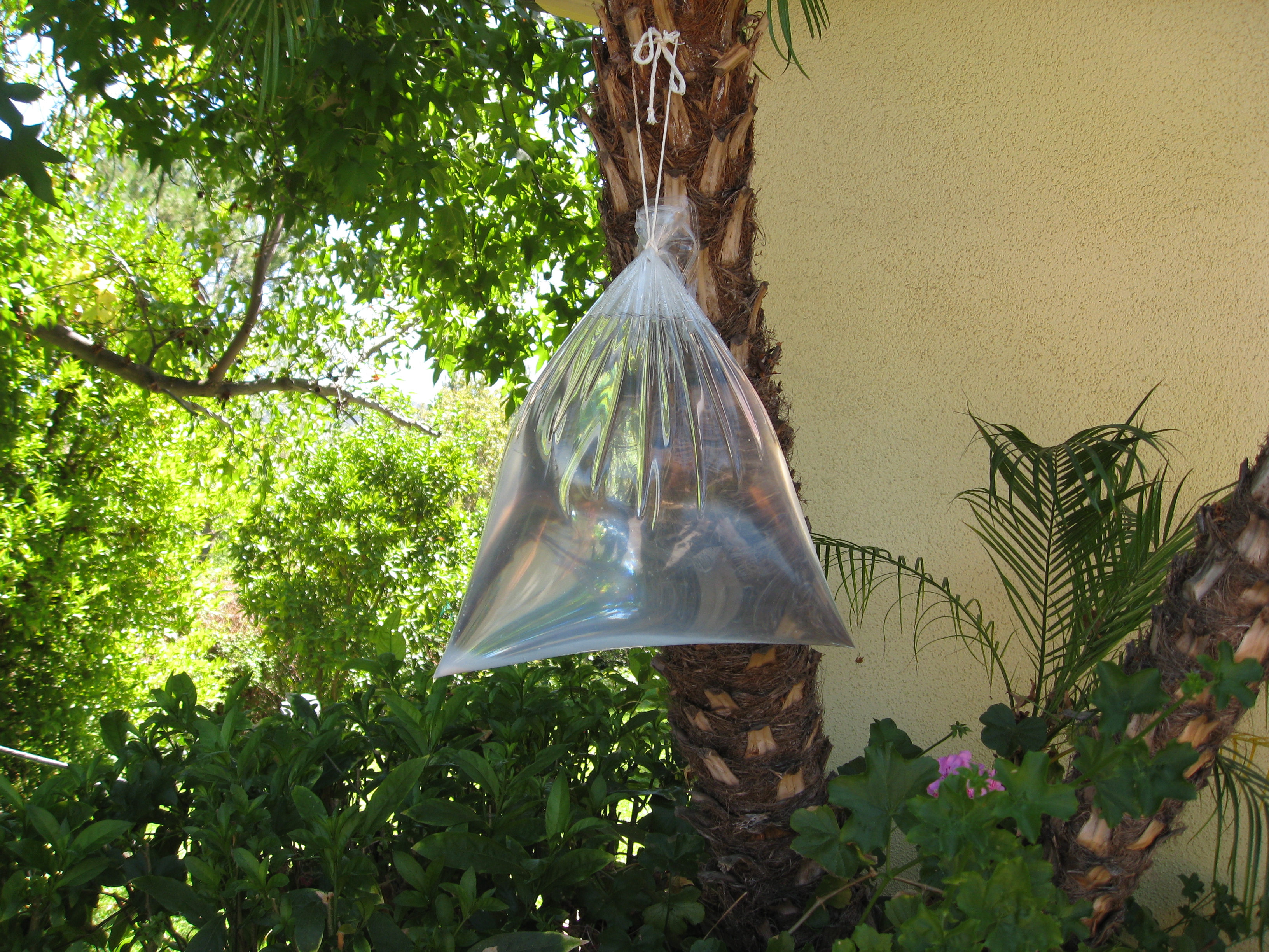 Bag of water = fly repellent 