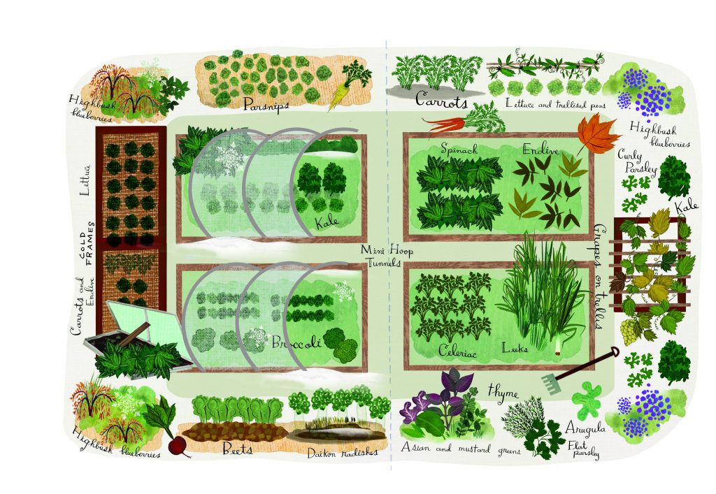 Got winter? This fall/winter veggie garden is for you.