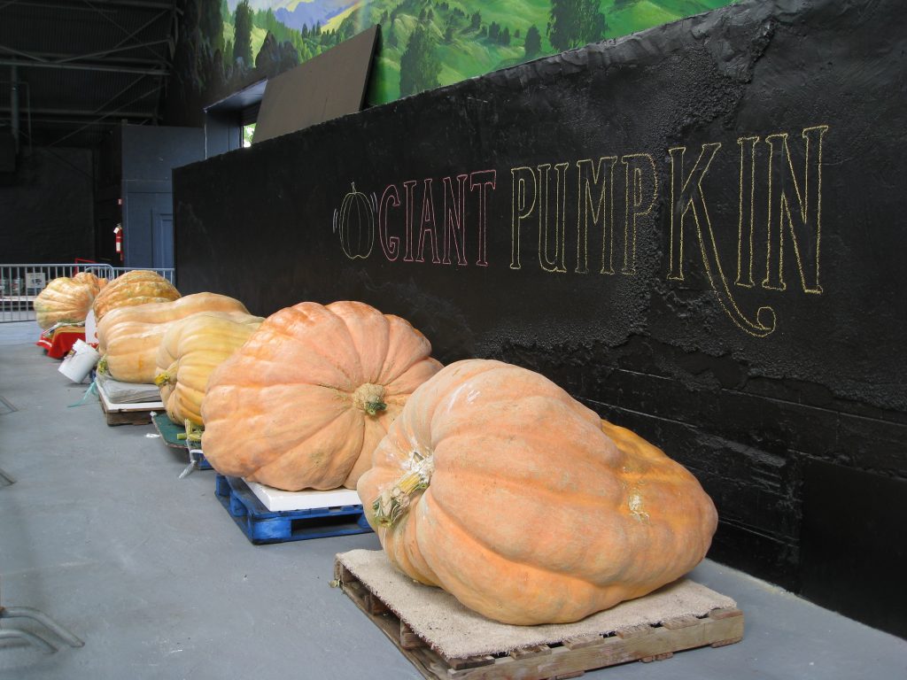 And what would a fair be without a Giant Pumpkin Contest?