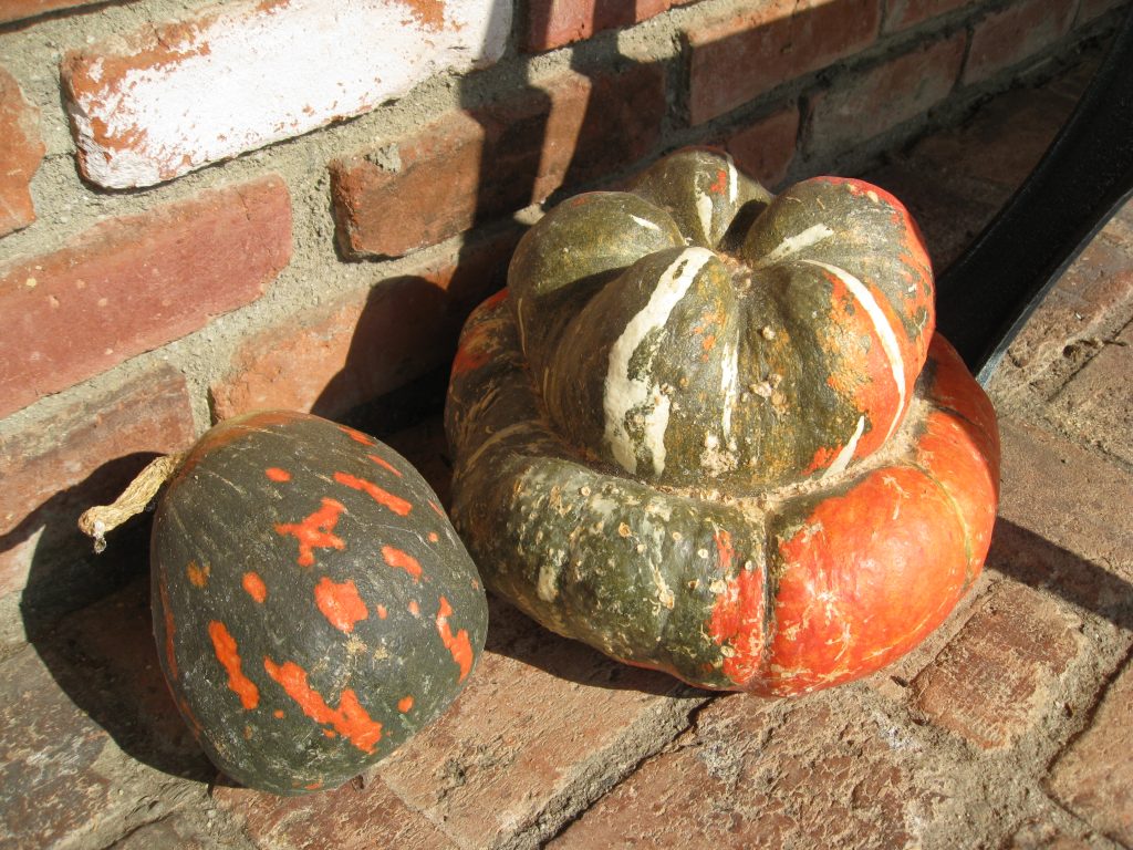 You know that fall has arrived when you see pumpkins on the porch.