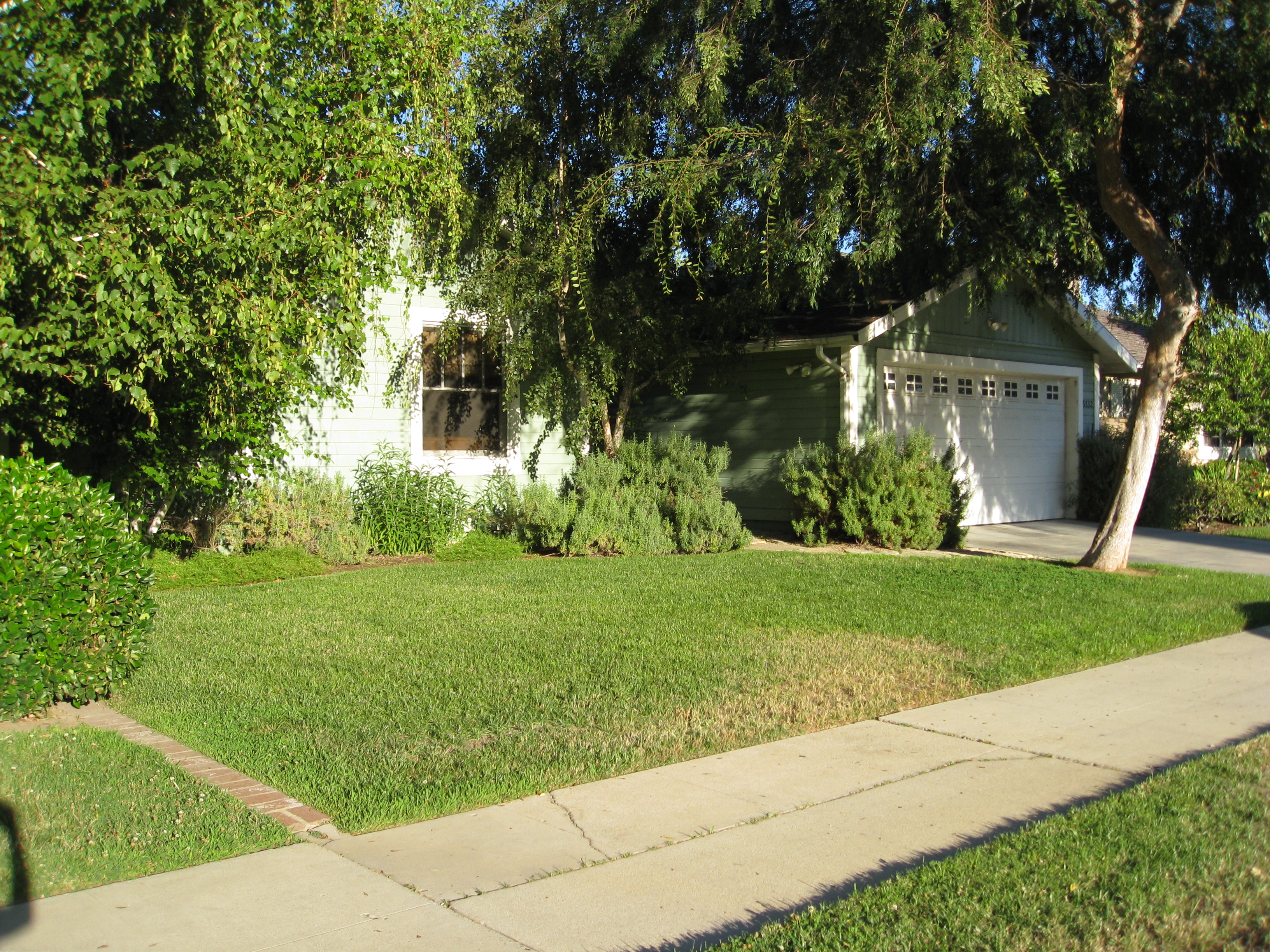 Front yard before