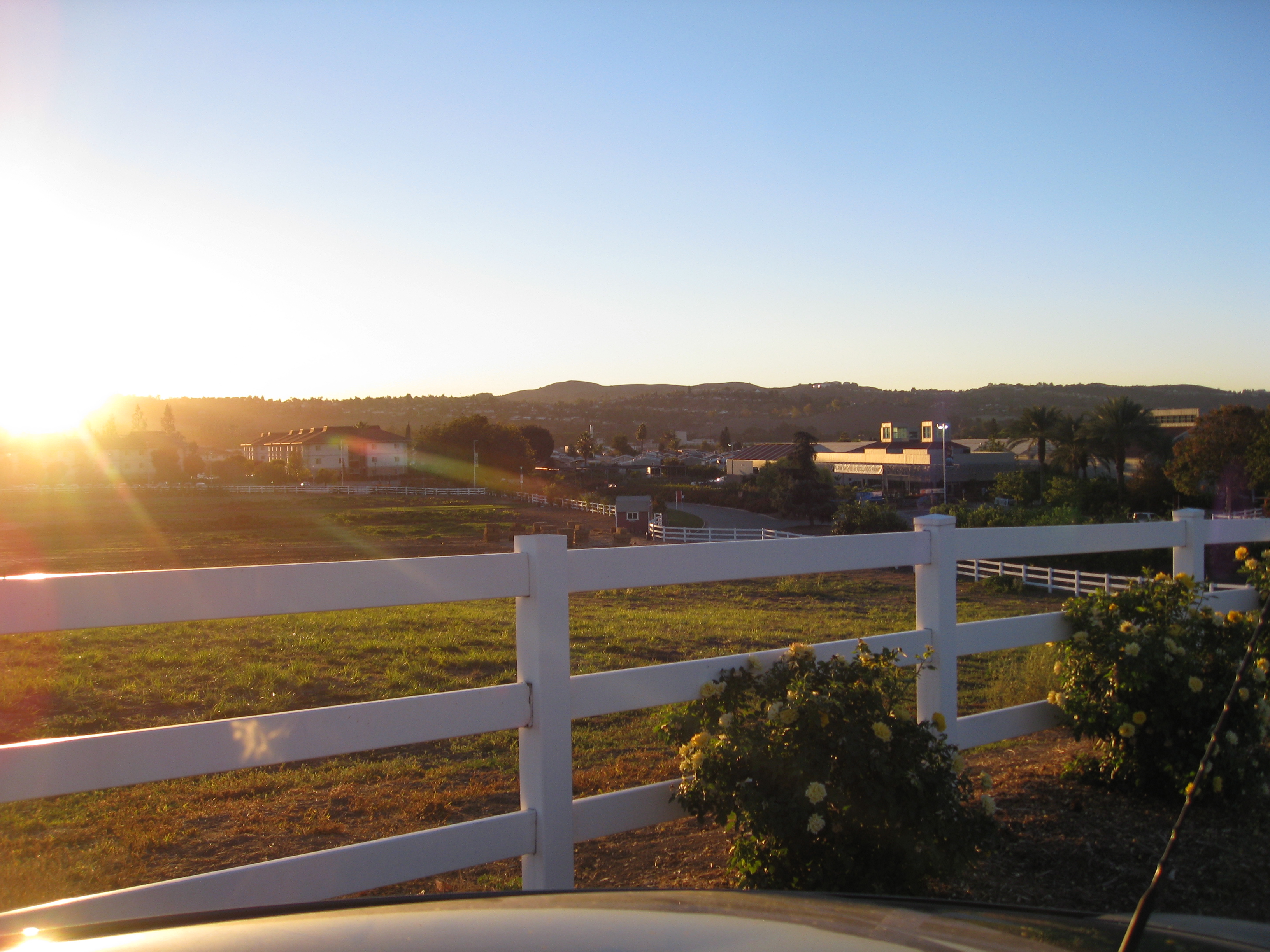 Looking out over Kellogg Ranch, home to pastured animals, fields of veggies, and scores of classes.