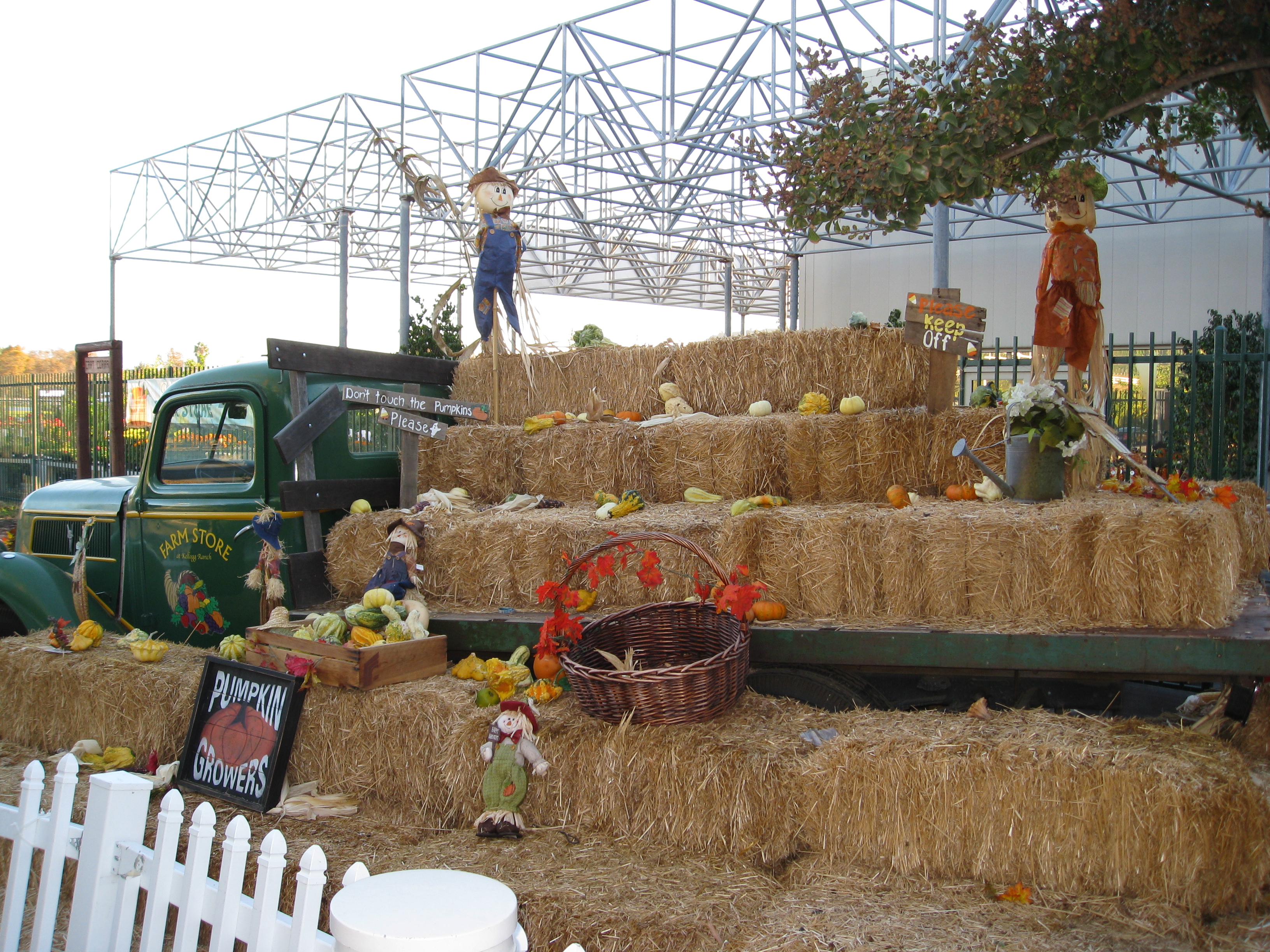 A vintage truck was most likely piled high with squash a couple weeks ago.