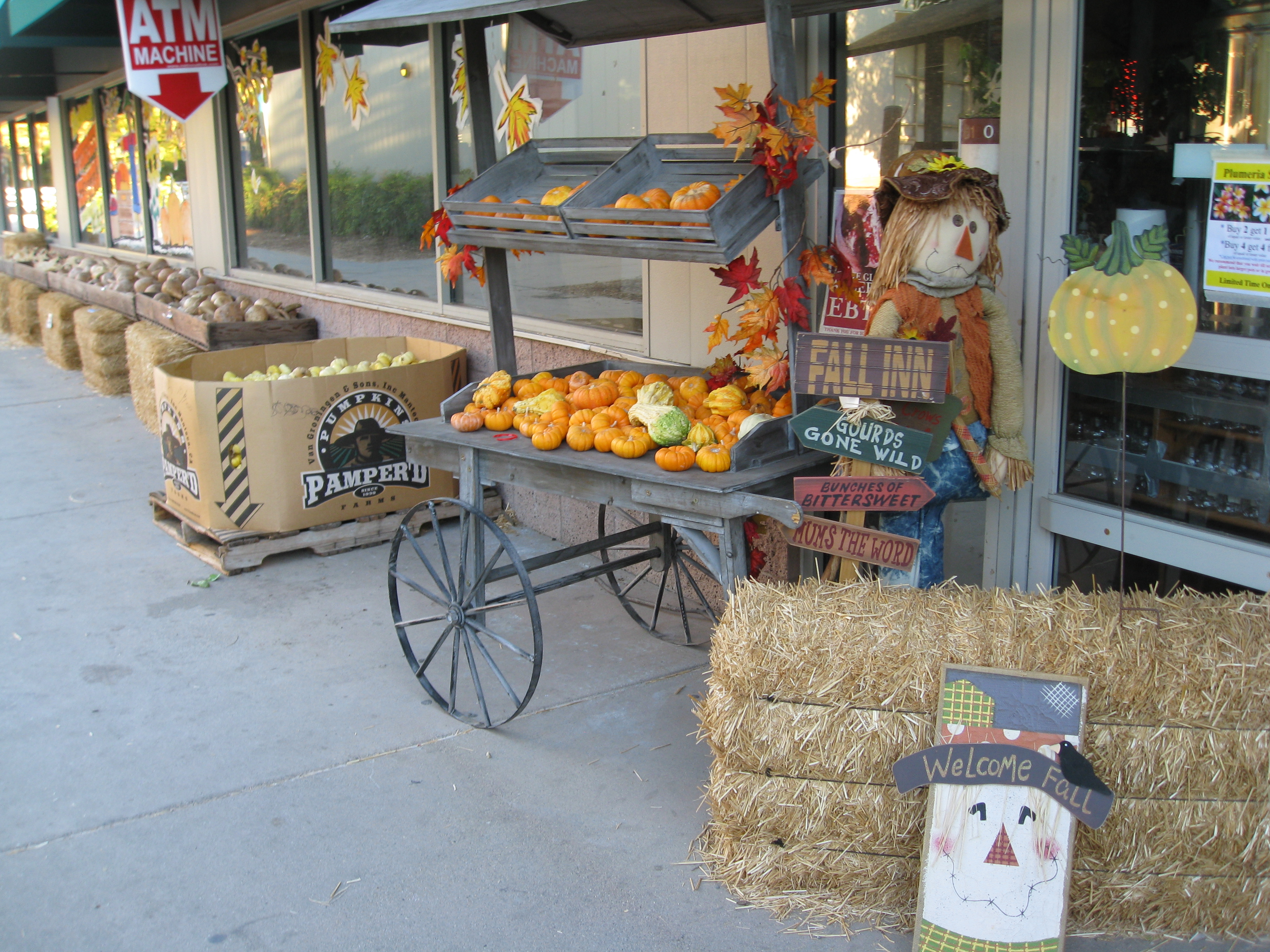 The Farm Store offers locally grown produce and animal products here and at 3 farmers' markets.