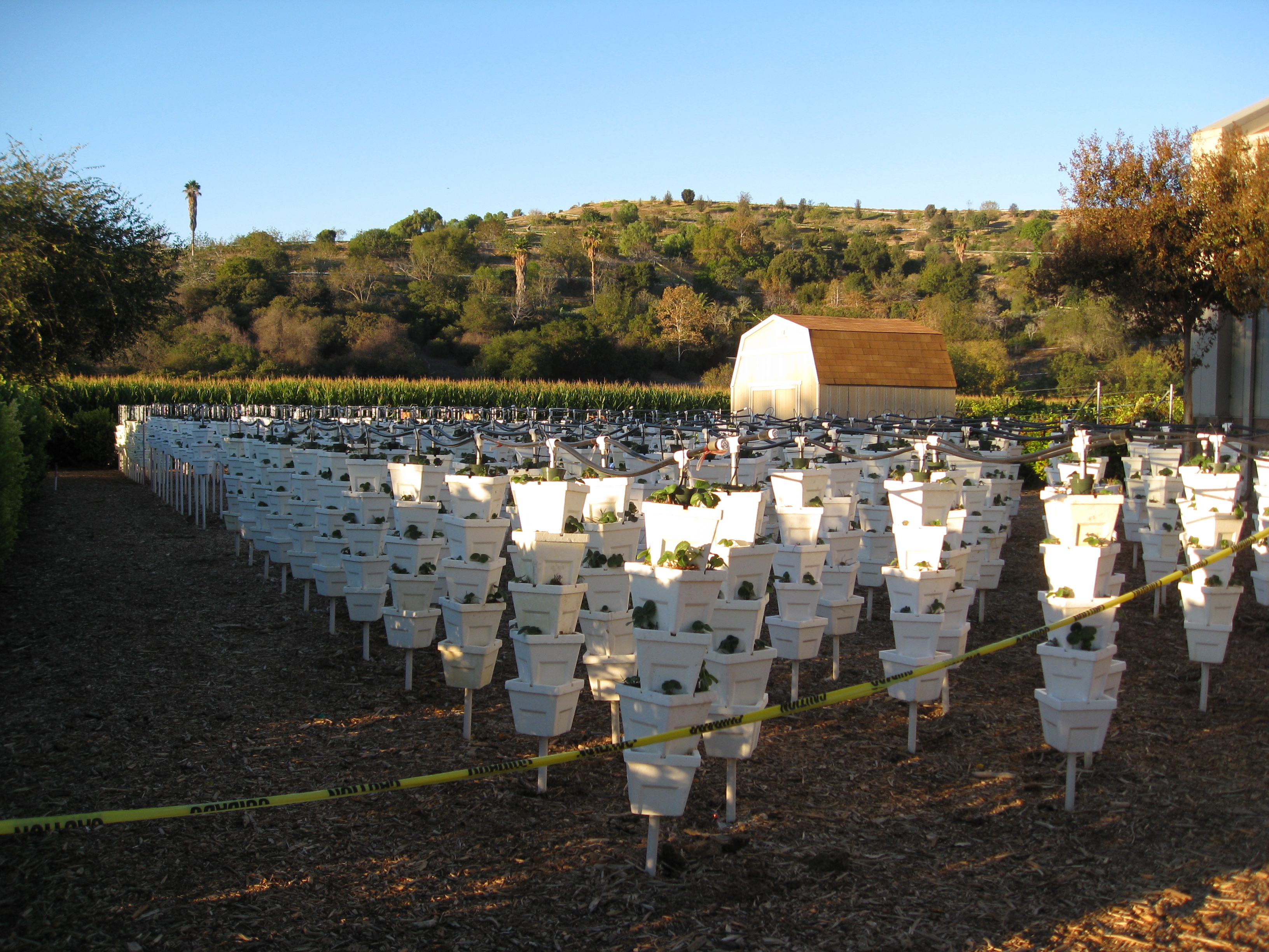 cal poly pomona farm tours