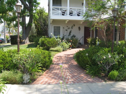 The homeowners didn't like their brick pathway and wanted more native plants in their lives.