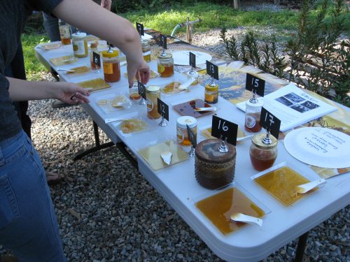 Read more about the article Field Trip: Honey Tasting Competition