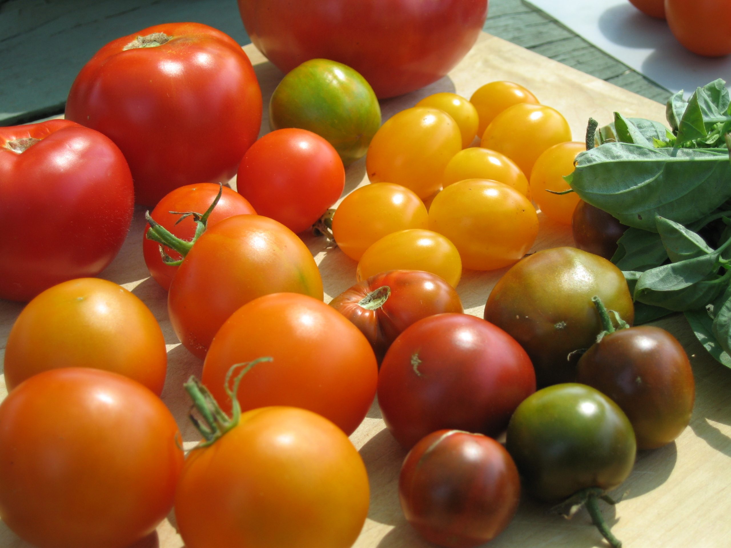 Read more about the article When to Harvest Garden Vegetables