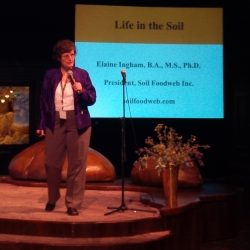 Urban Soil Summit Review – Part 1