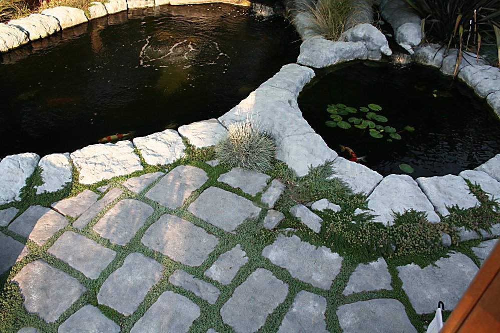 Five Steps To A Beautiful Flagstone Ground Cover Gardenerd