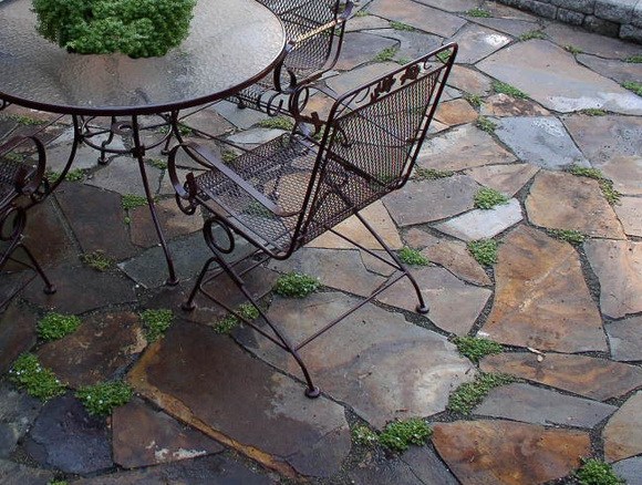 Five Steps To A Beautiful Flagstone Ground Cover Gardenerd