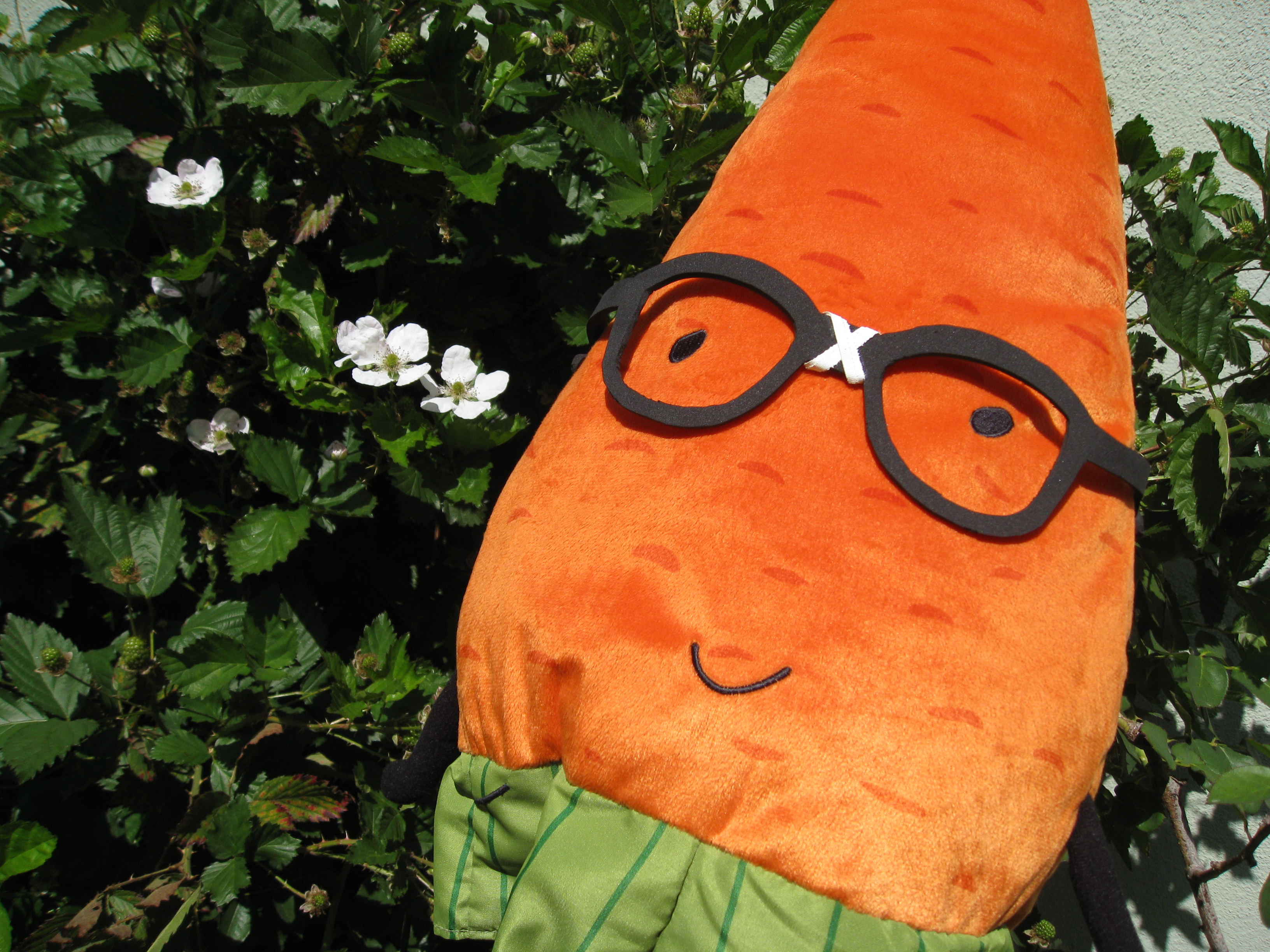 Ikea sale carrot plush