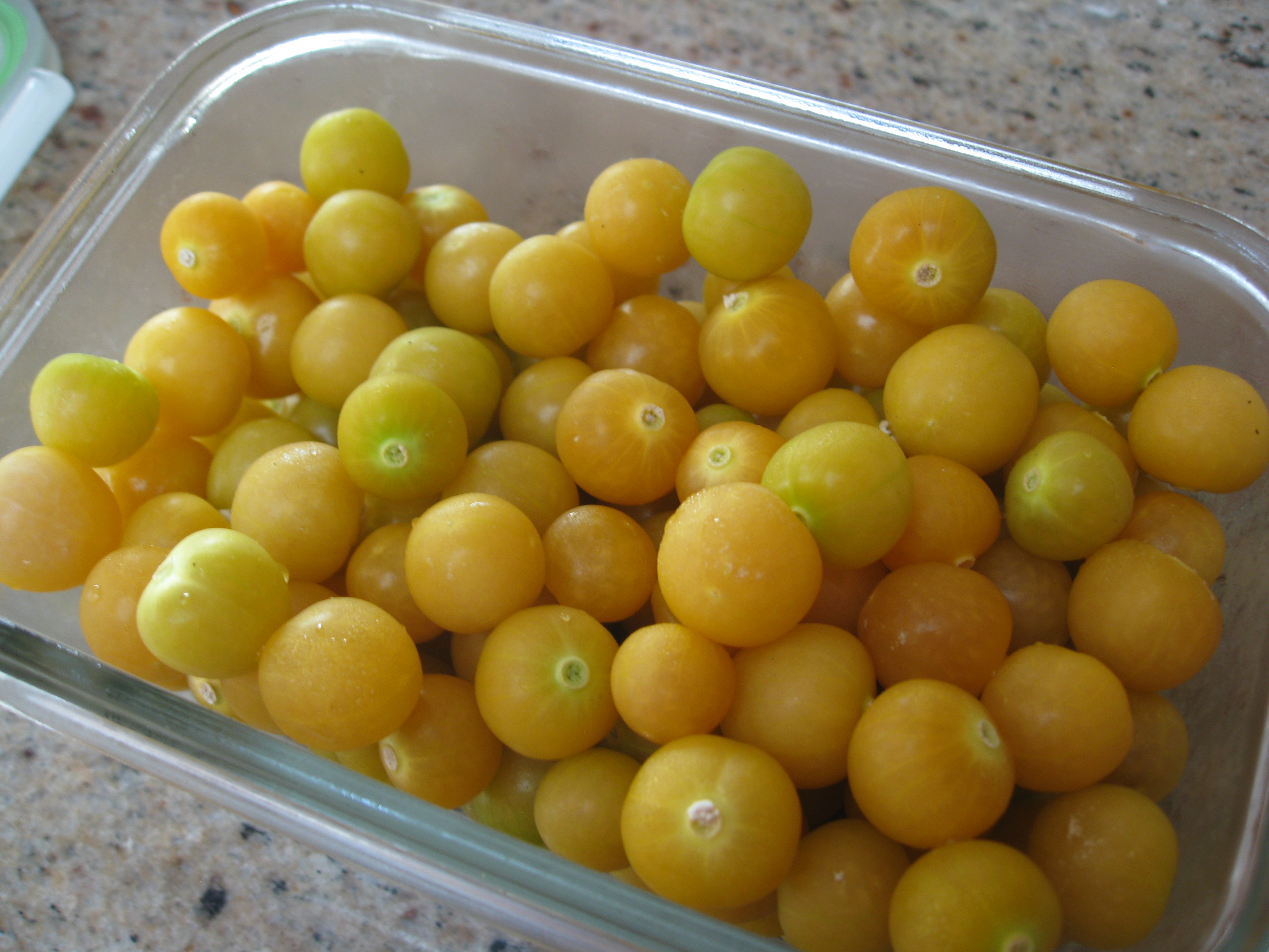 Growing and Harvesting Ground Cherries - Gardenerd