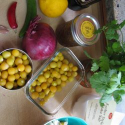 Recipe: Ground Cherry Salsa