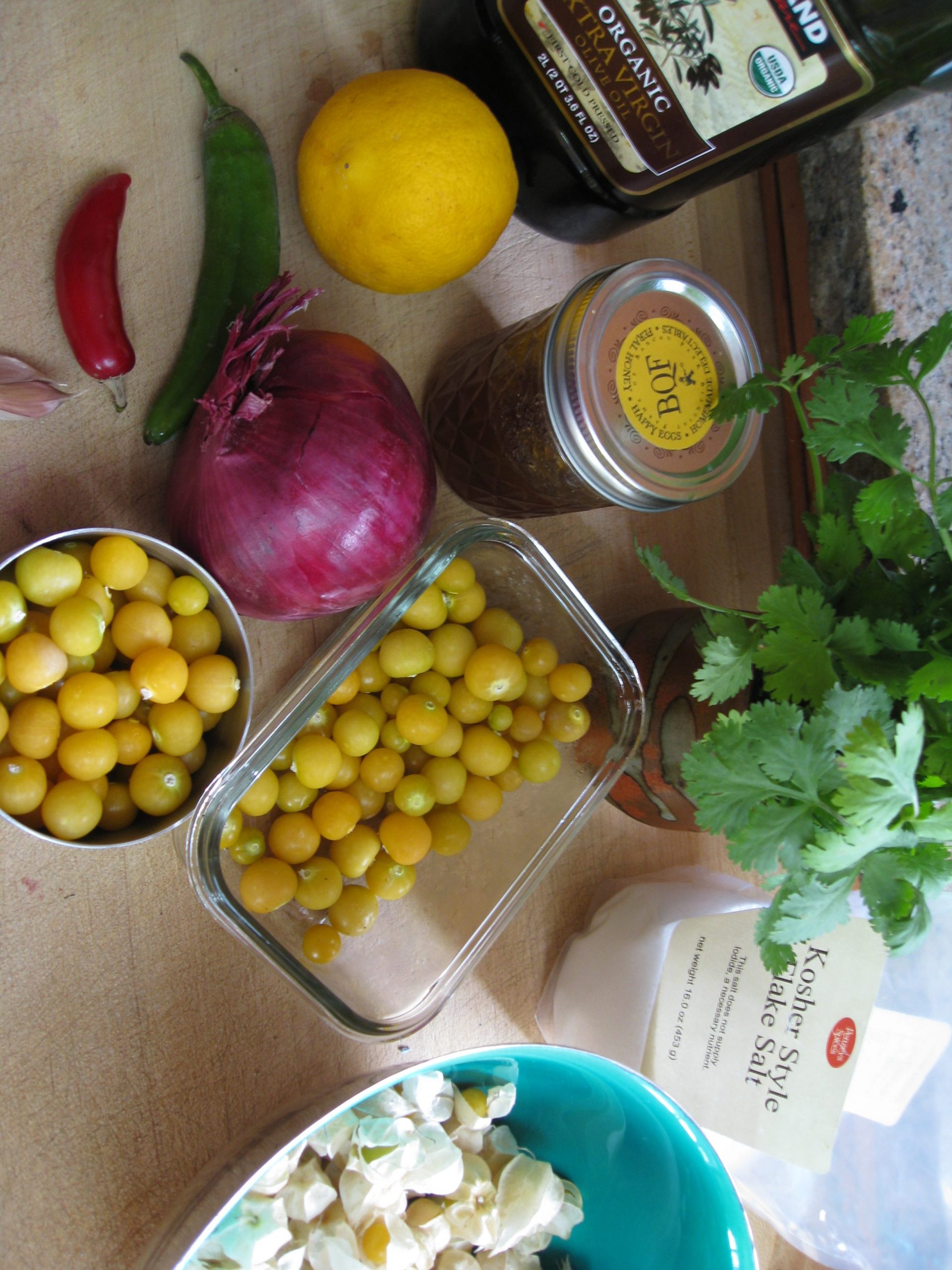 You are currently viewing Recipe: Ground Cherry Salsa