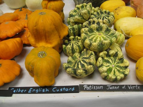 Read more about the article Wordless Wednesday: Heirloom Expo 2015