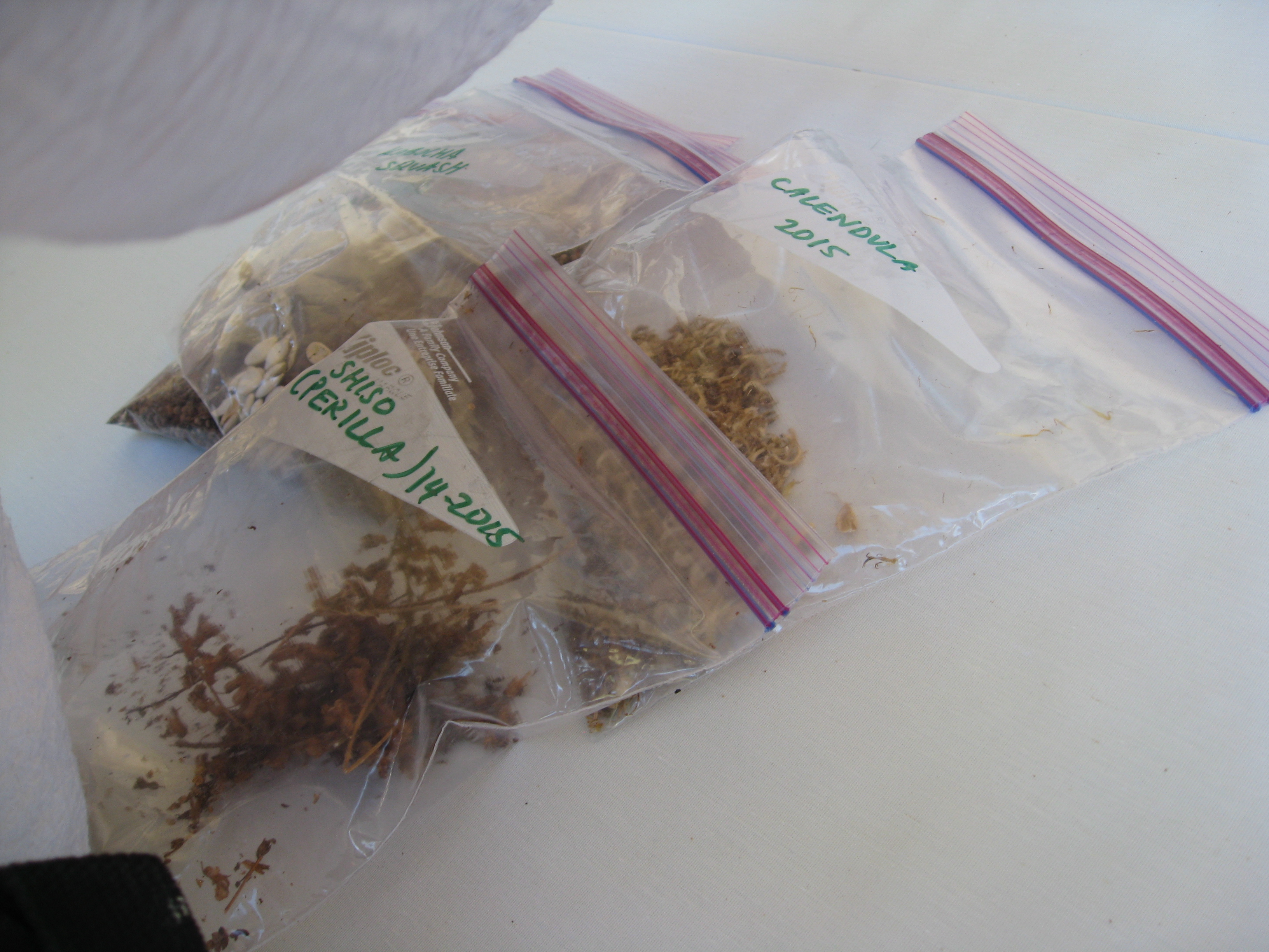 Calendula and Shiso are among the seeds to be swapped. 