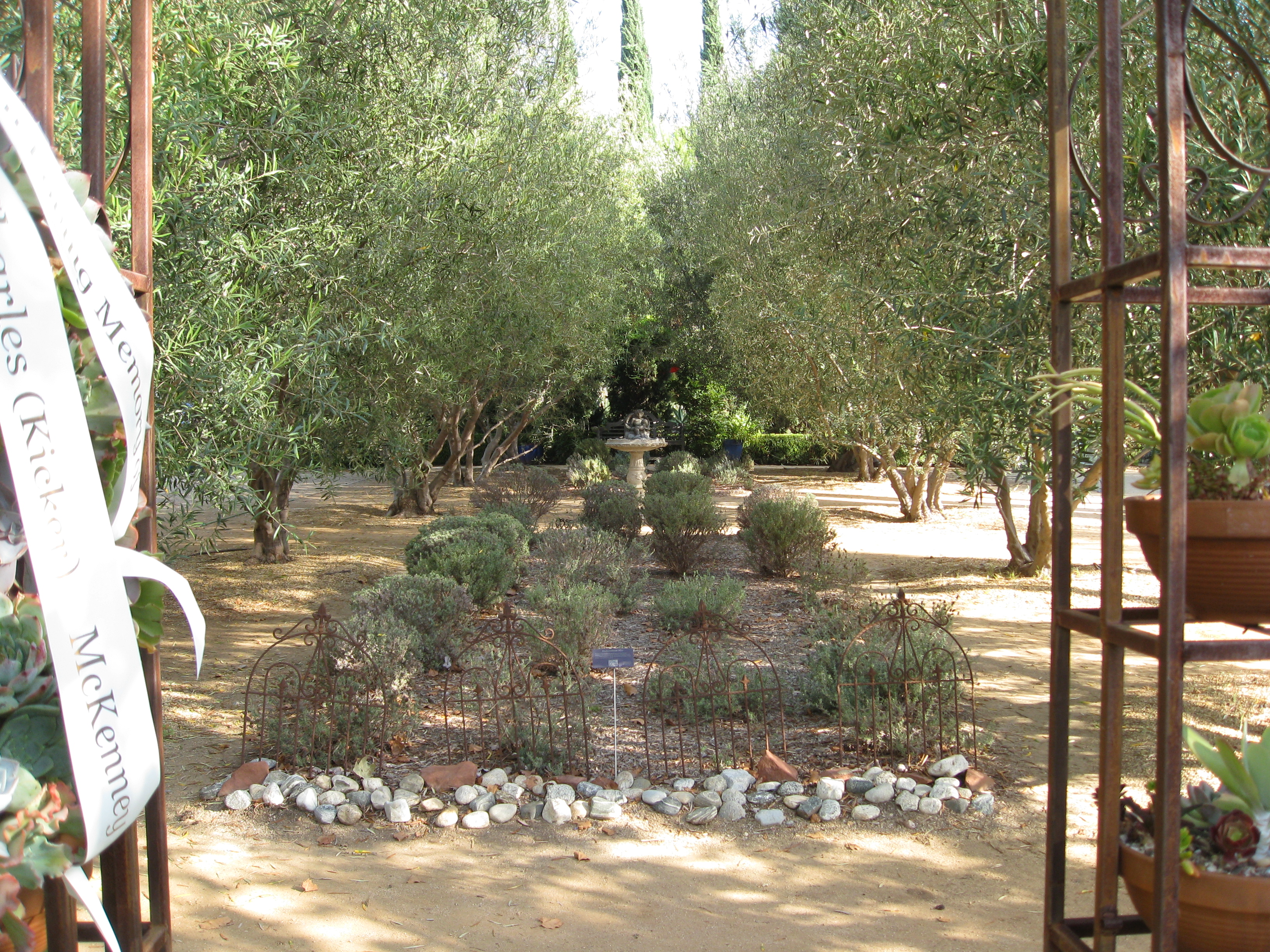 Field Trip Arlington Gardens Pasadena Gardenerd