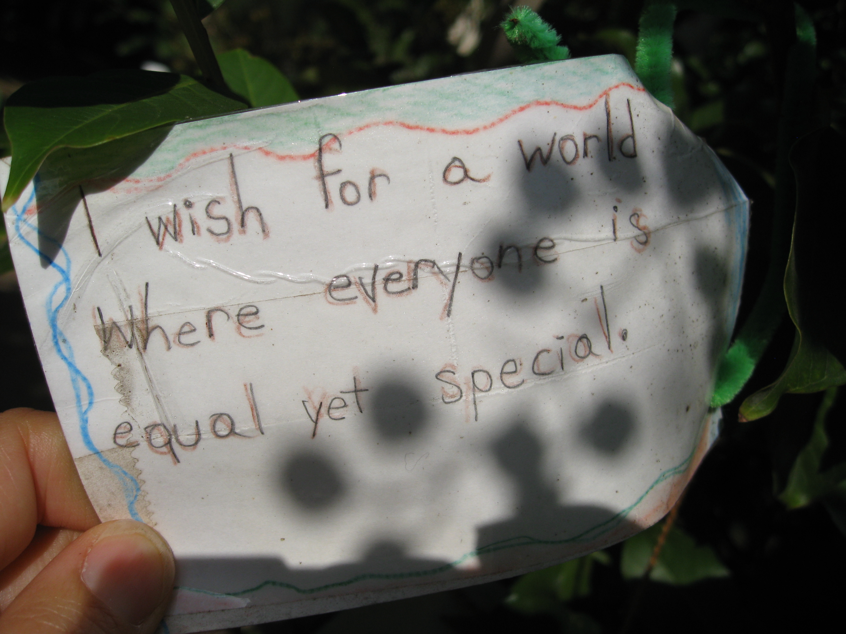Many wishes were profound and universal. 