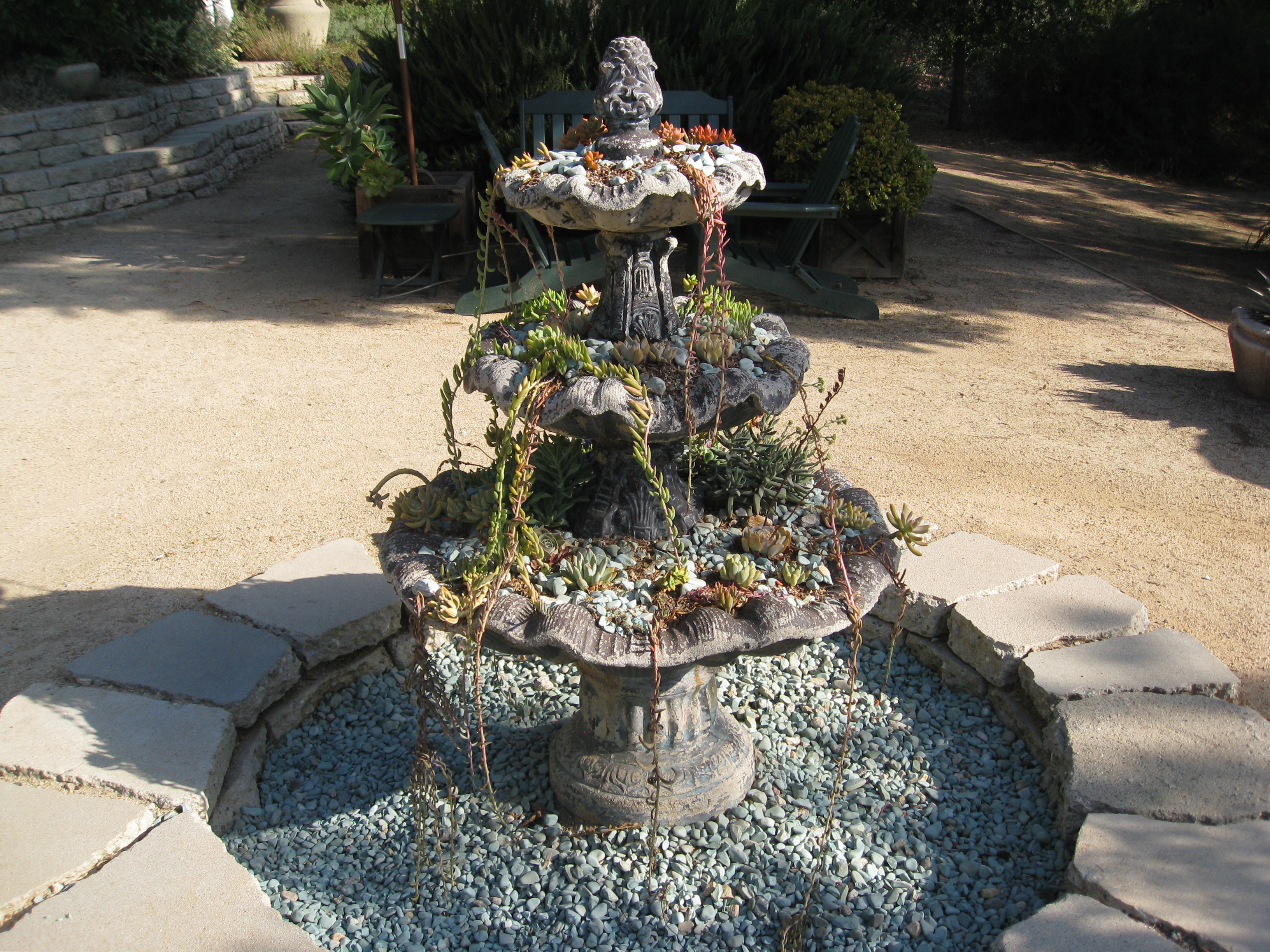 What a great use for a fountain in a drought!