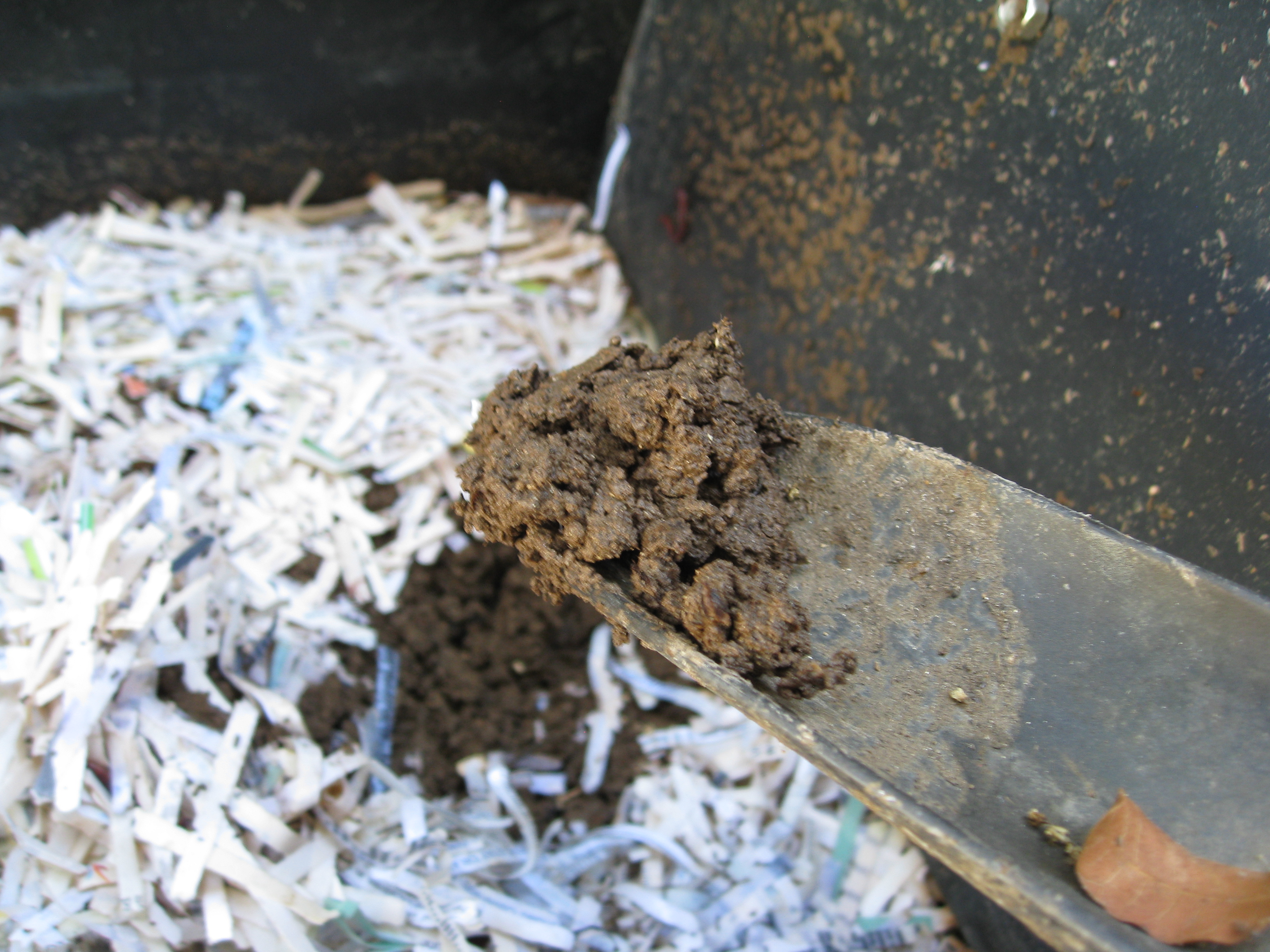Worm castings help plants defend themselves through winter.
