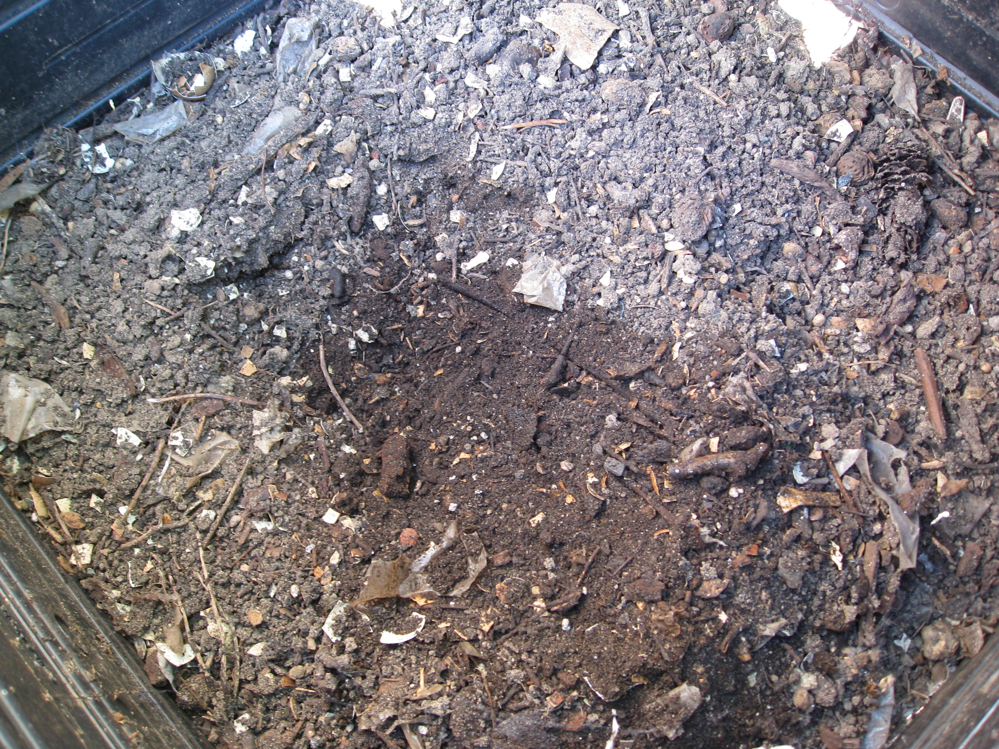 A cold compost pile ready to harvest. 