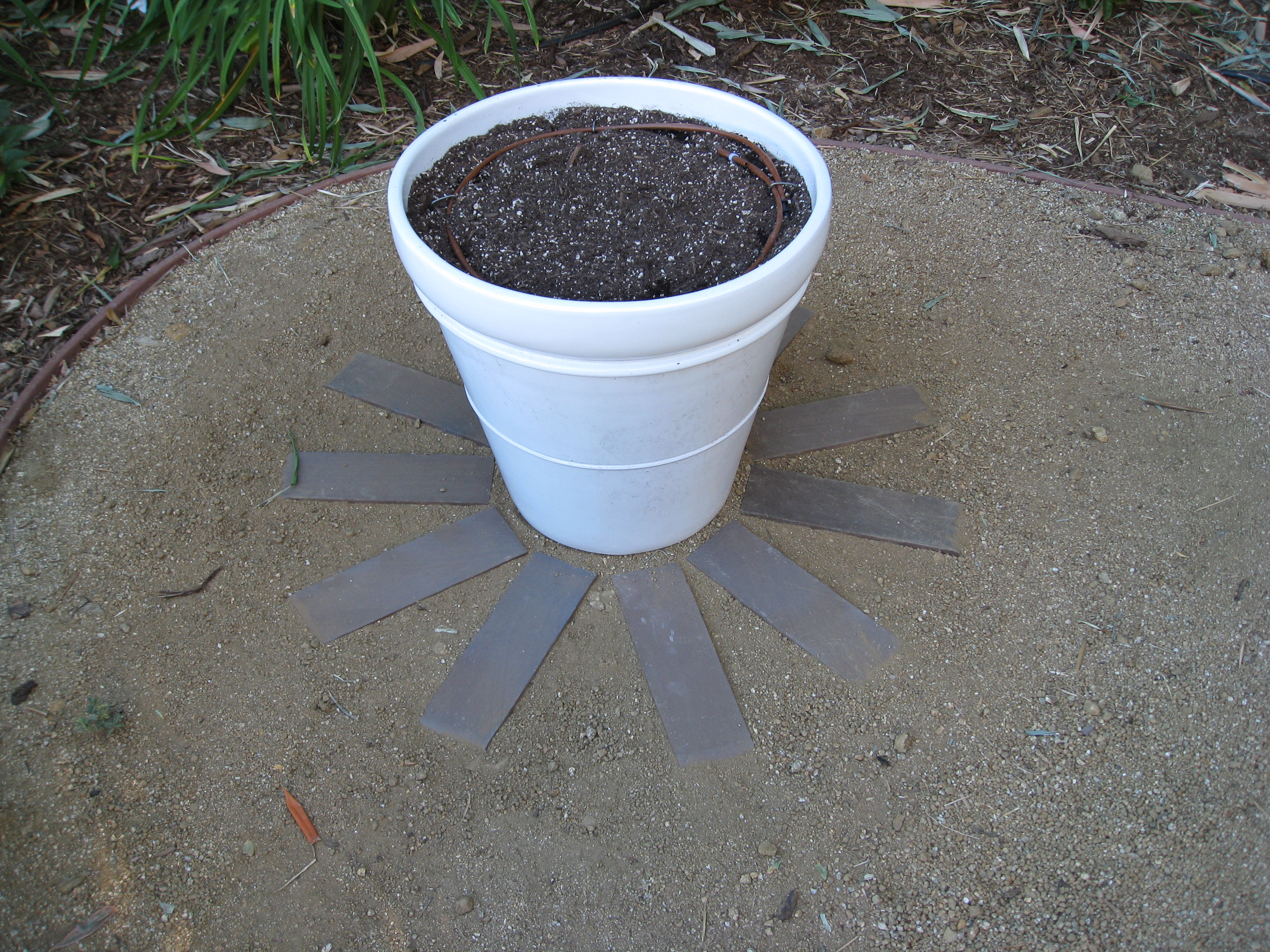 We used leftover bricks from the pool edge to anchor a flower pot nearby.