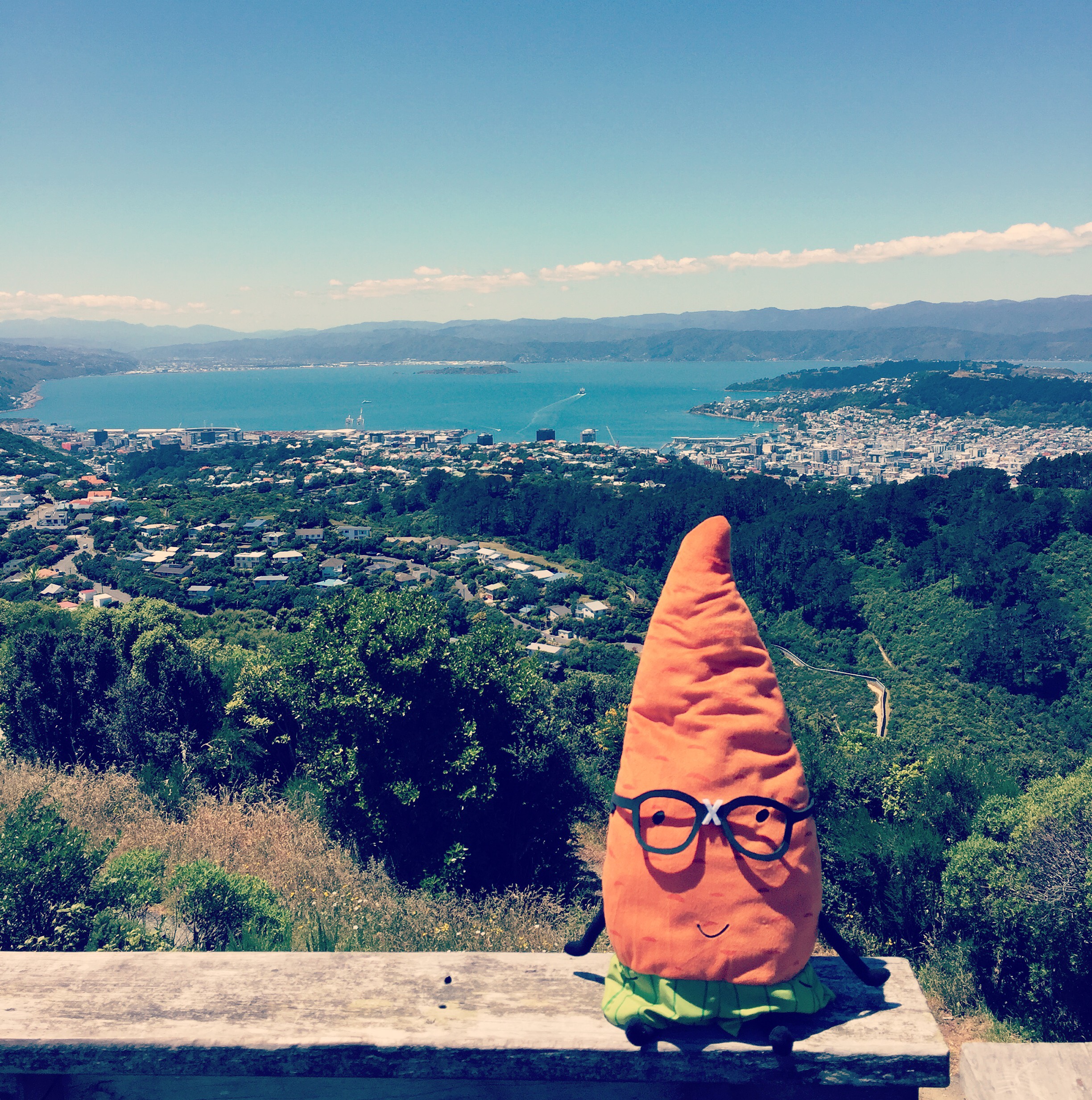 Read more about the article Where’s Gardenerd – New Zealand Travels