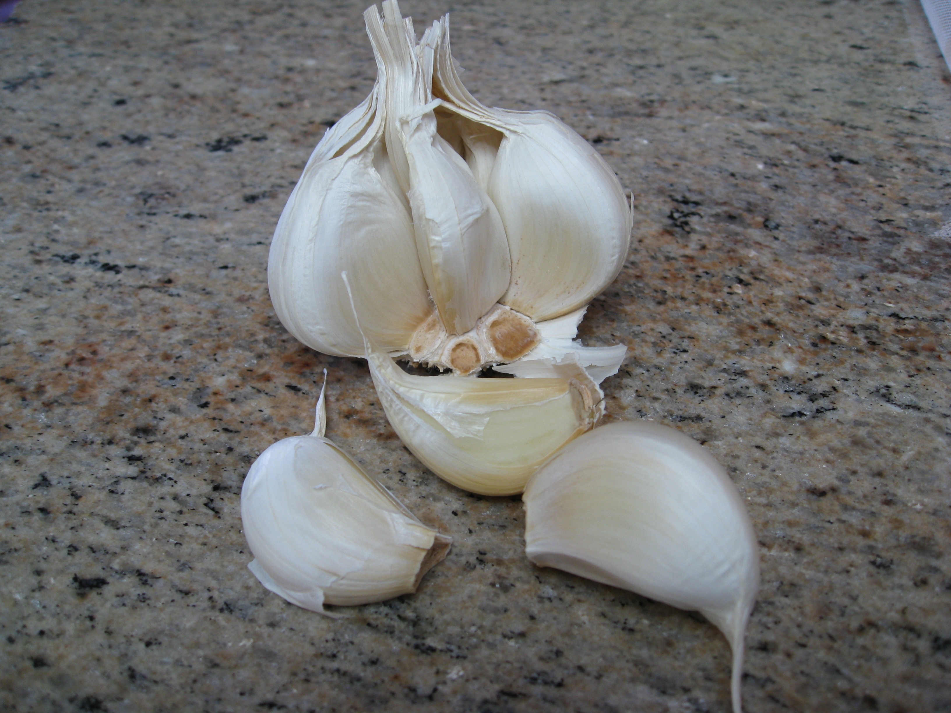 garlic bulb