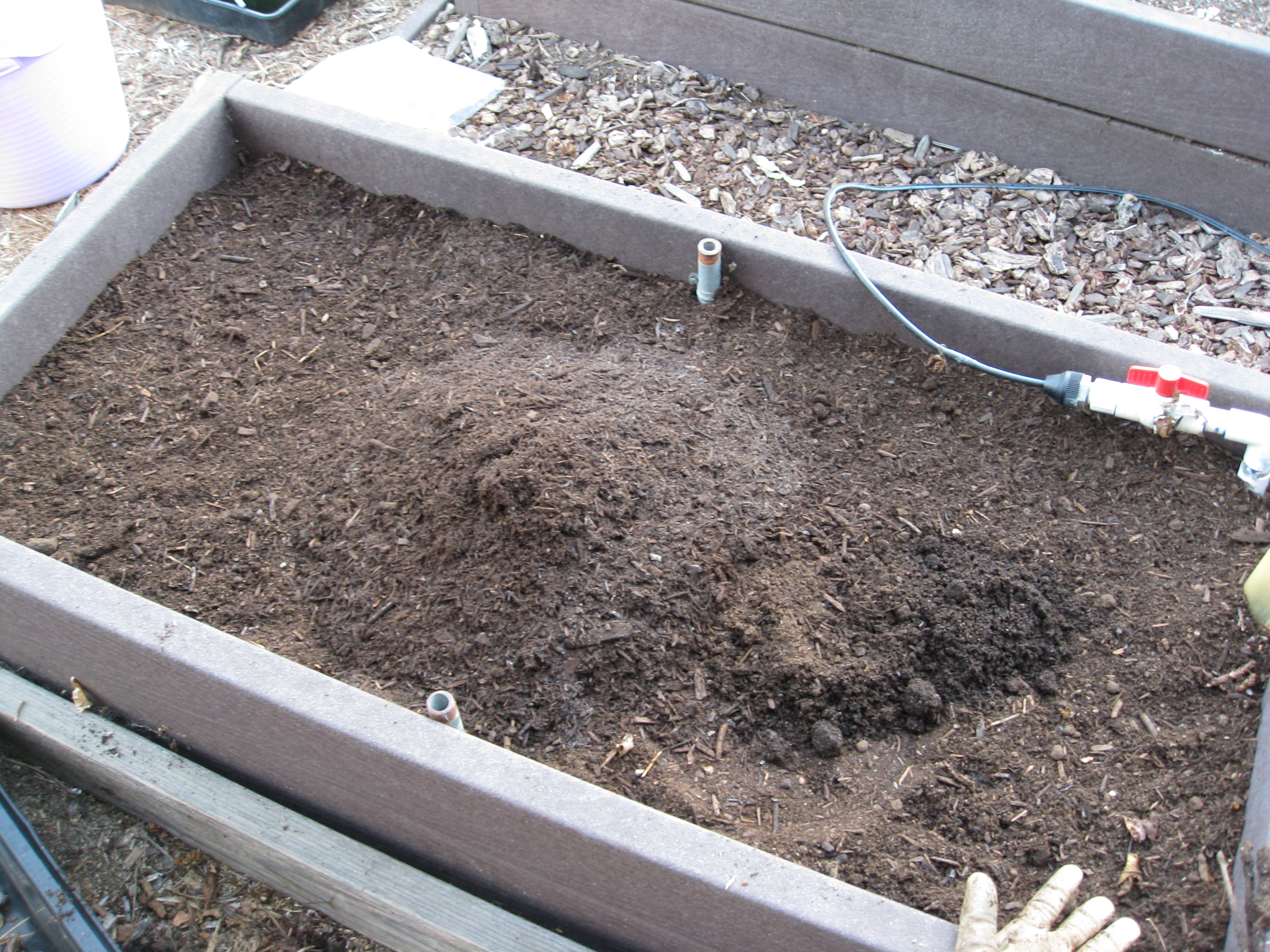 Amend the beds with plenty of organic material. 