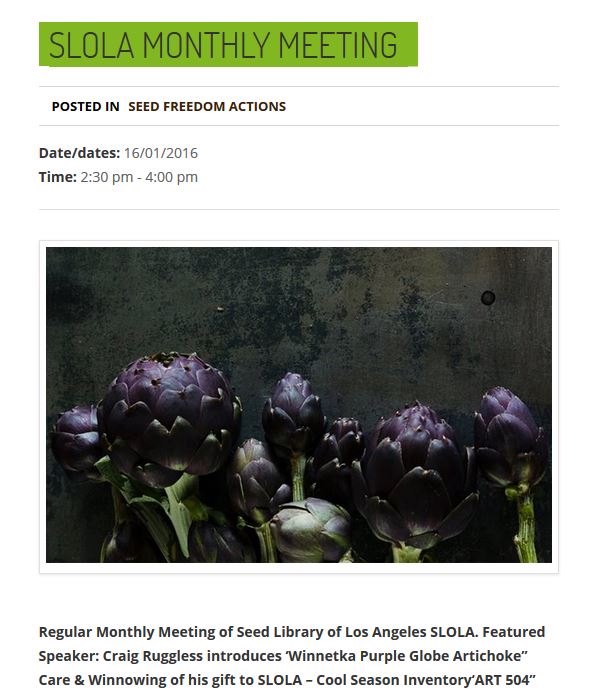 This screen capture shows Craig's recent photo of his prized purple artichokes in action. 