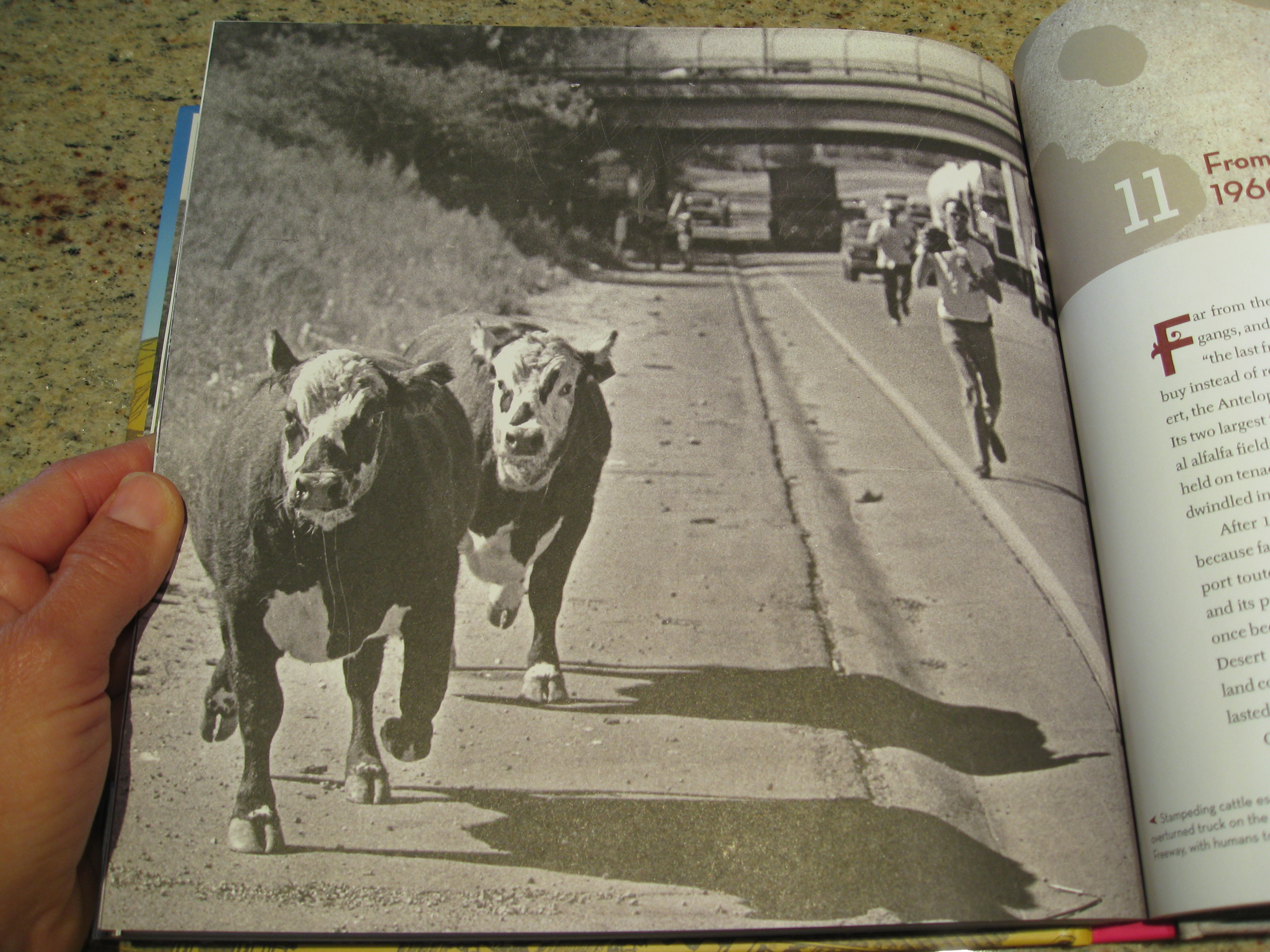 The photo from which the book's title came. Read the book to find out where and when it was taken. 