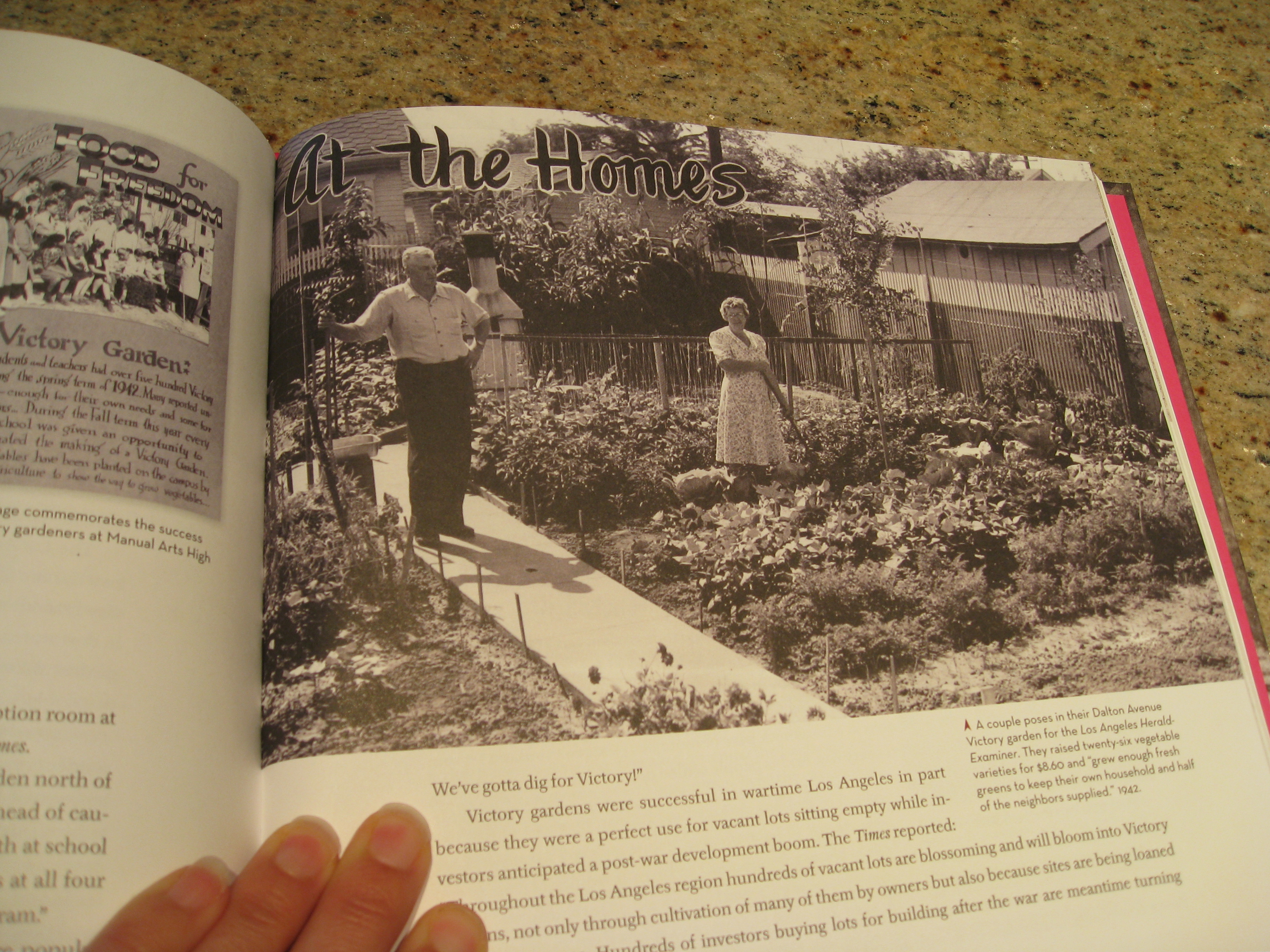Victory gardens of the 1940s. We wish all yards looked like this. 