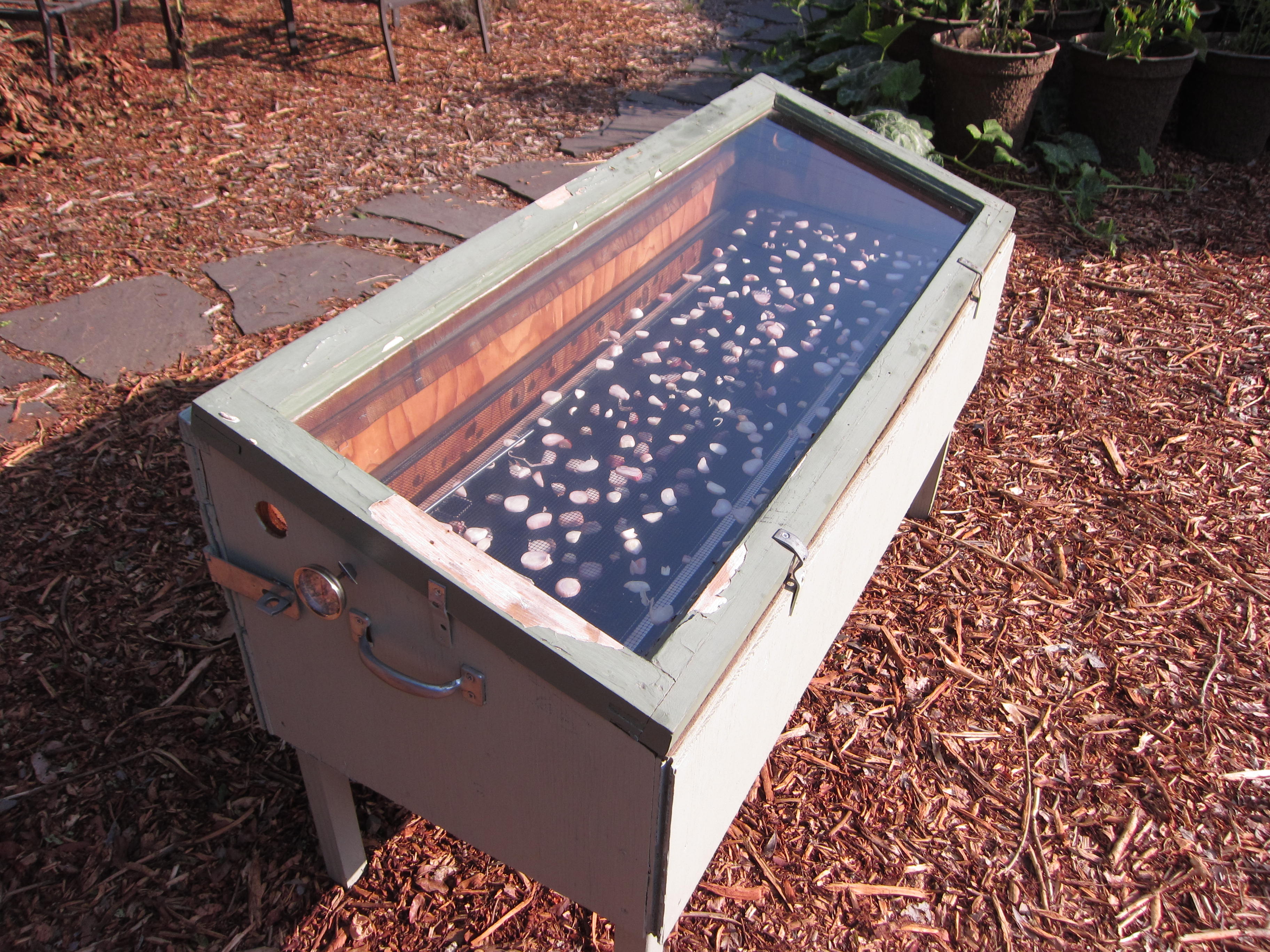 Our solar food dryer in action. 