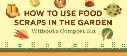 Read more about the article No Compost Bin? No Problem!