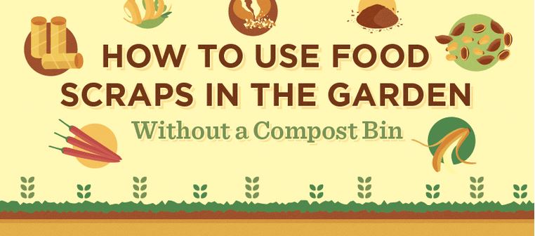 You are currently viewing No Compost Bin? No Problem!