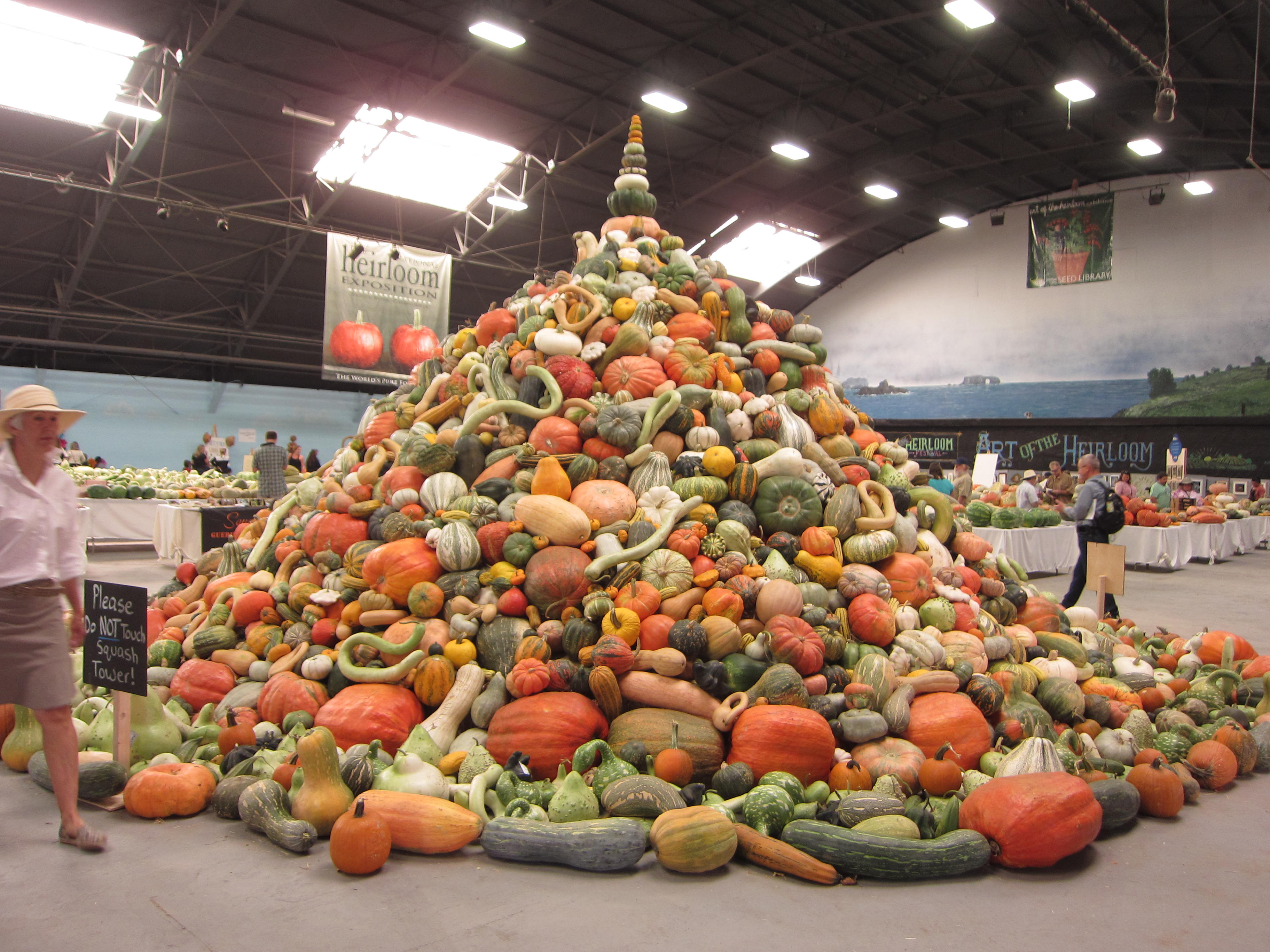 The squash tower reigns supreme over all other displays.