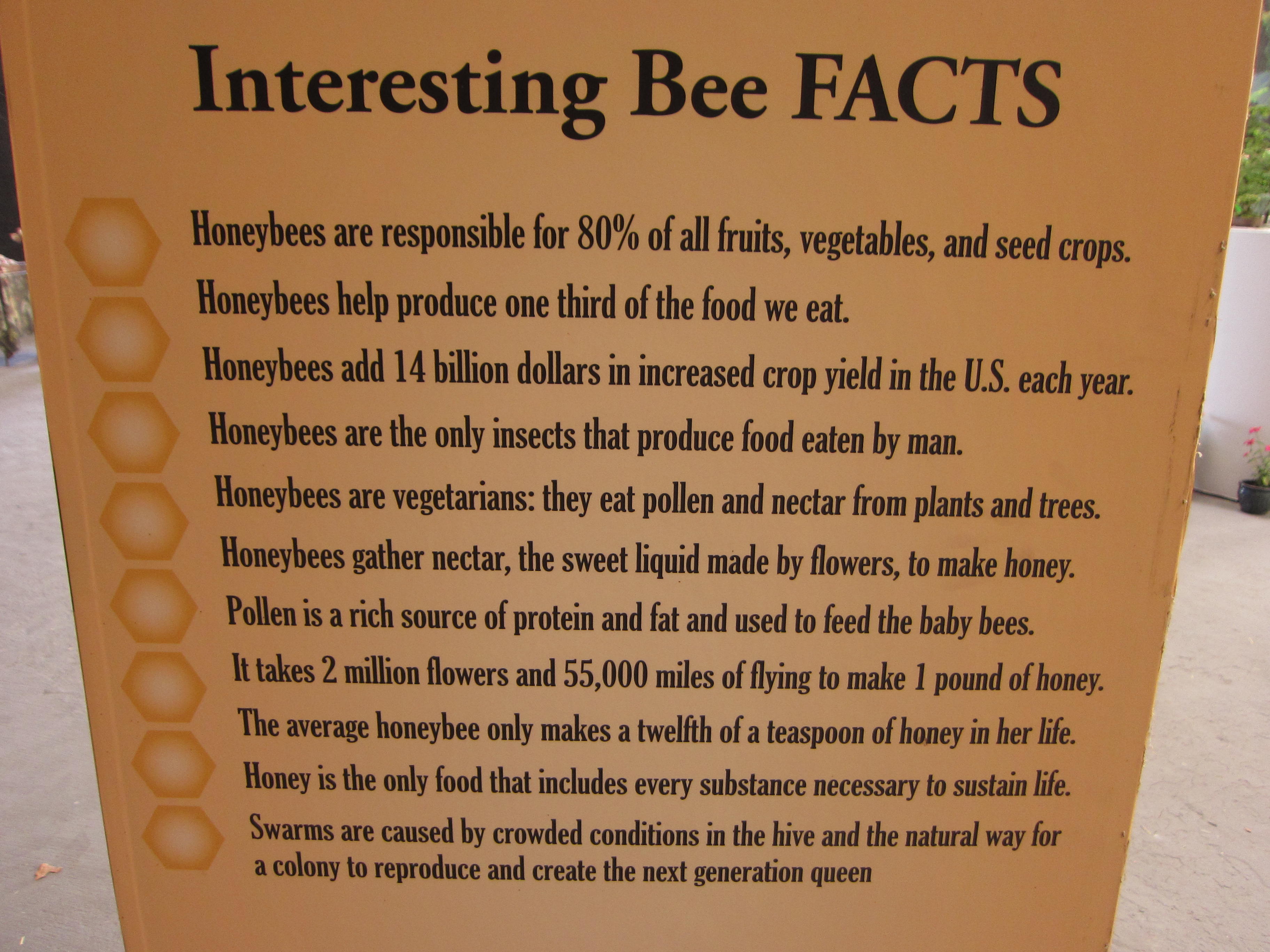 Bee facts on display at educational kiosks.