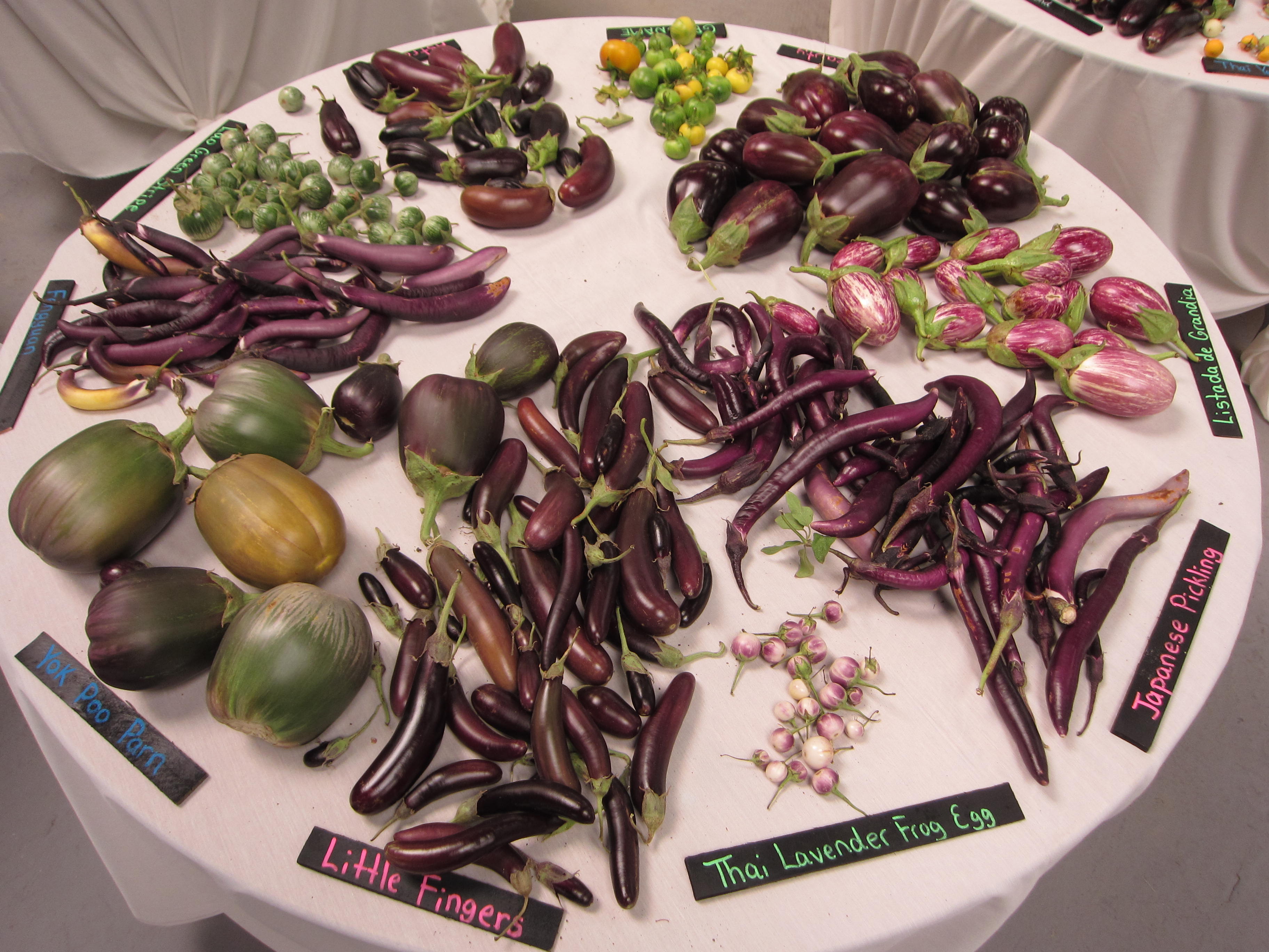 Heirloom eggplants decorate a table.