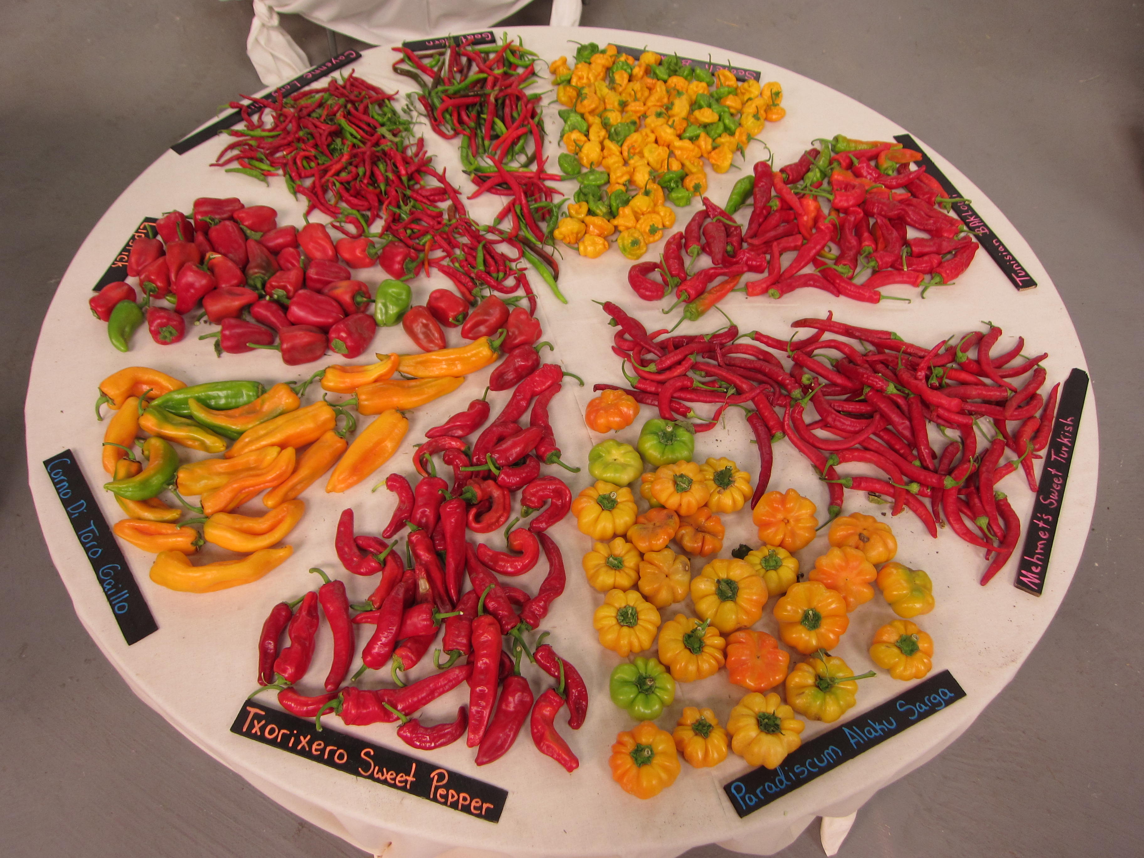 Peppers on display.