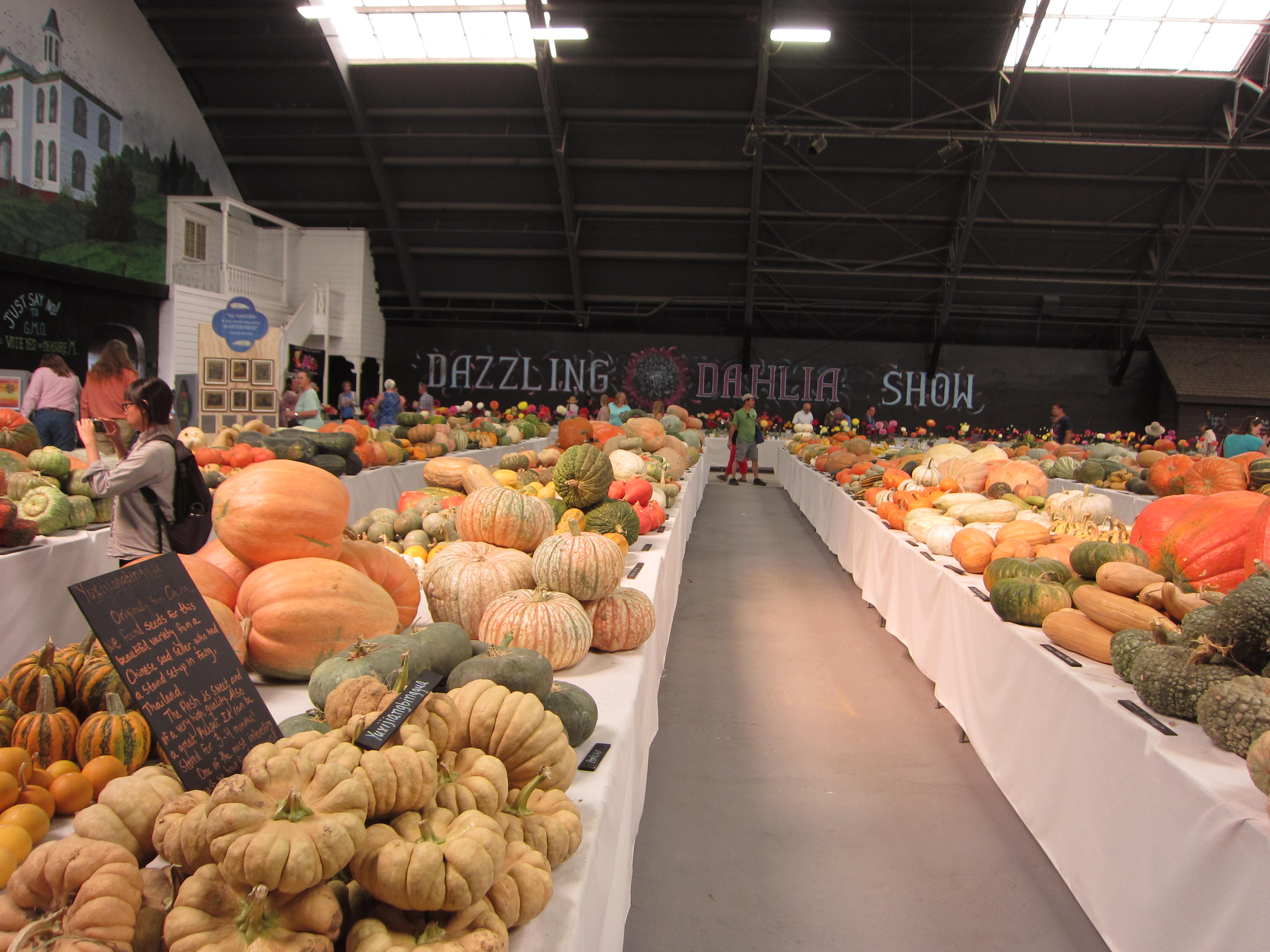 The amazing squash display in the Hall of Flowers. 