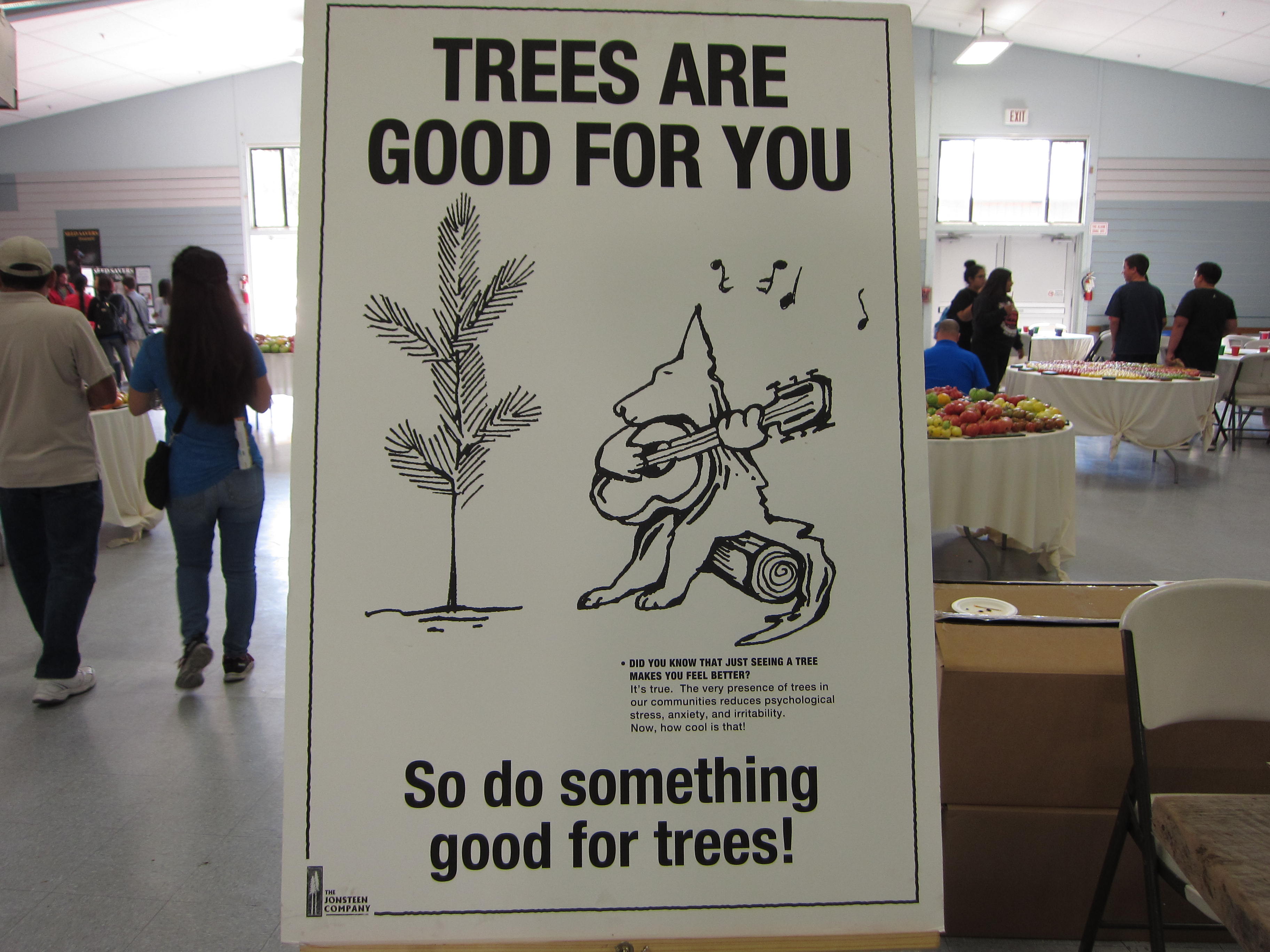 The kids hall featured lessons about trees. 